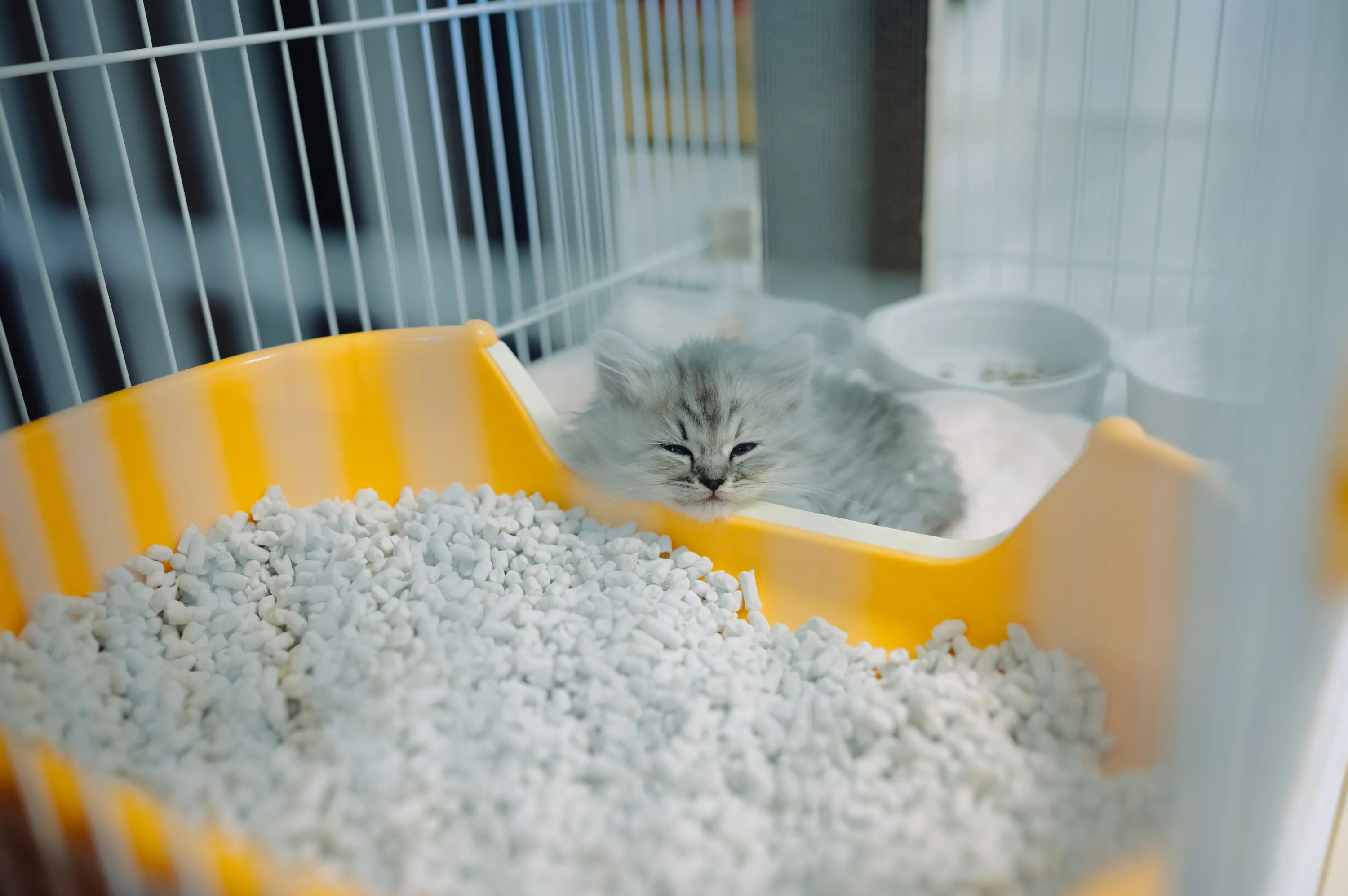 2021 — 02 — 01に撮影したうみの写真