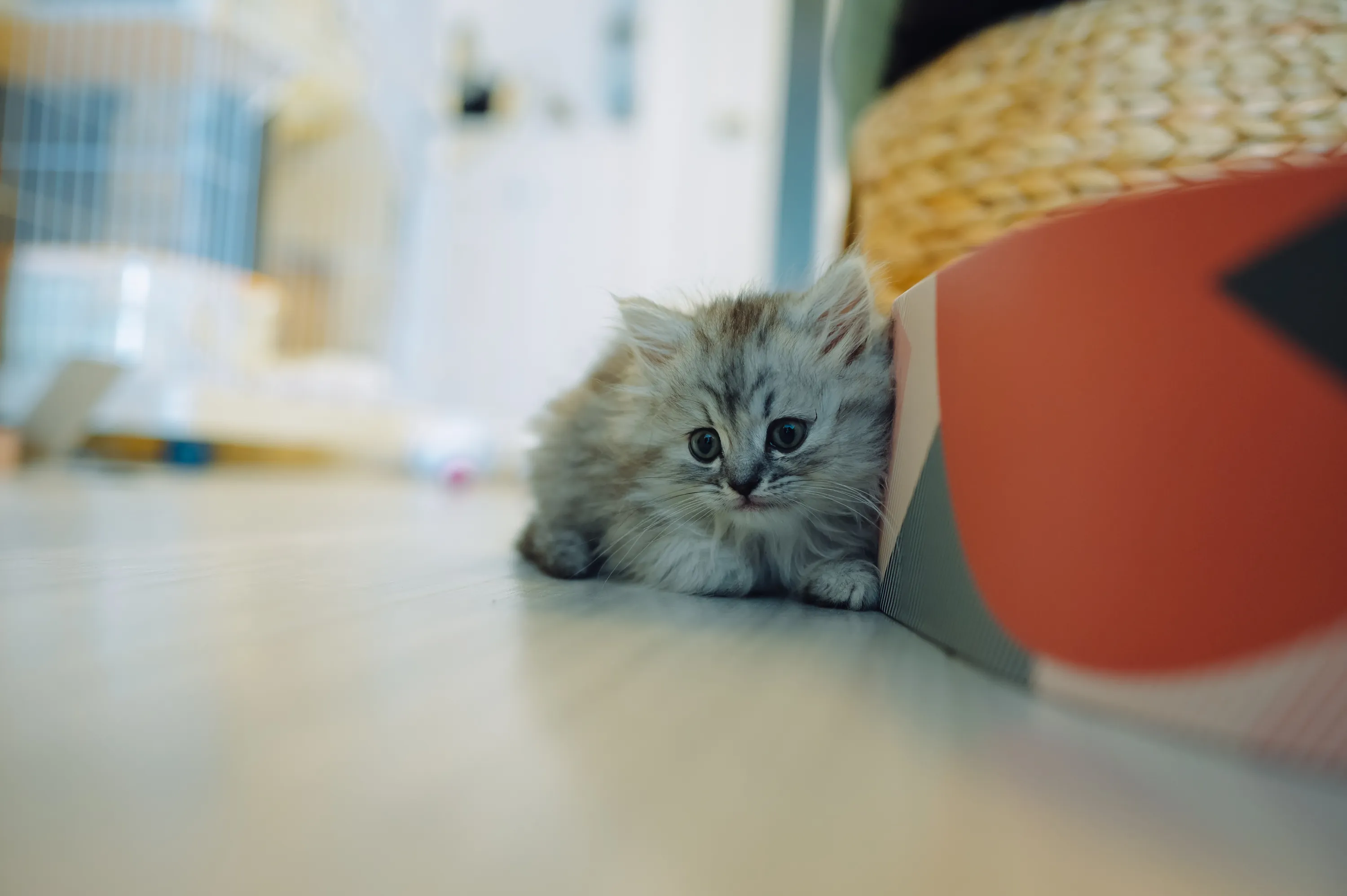 2021 — 02 — 02に撮影したうみとあおの写真