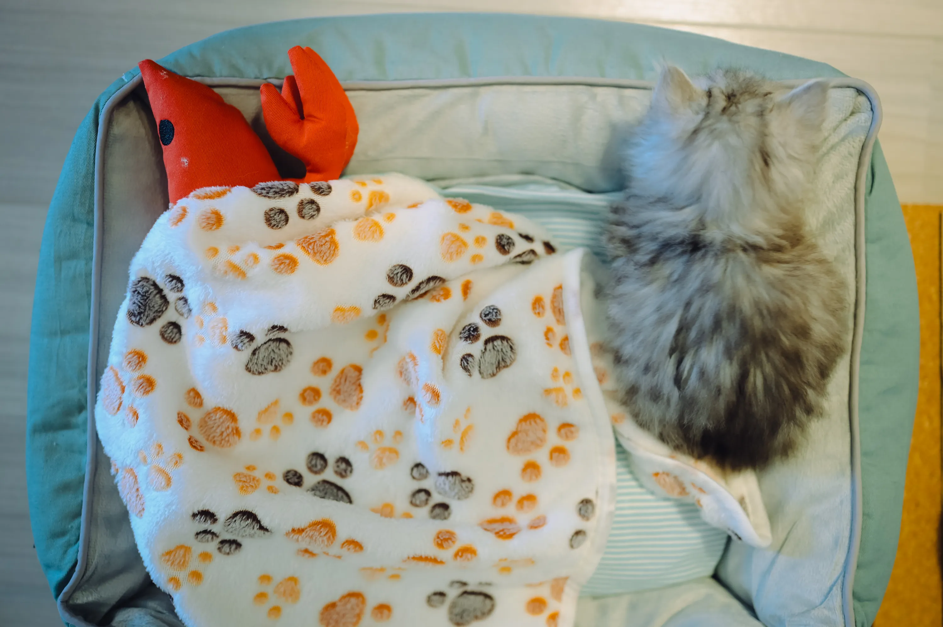 2021 — 02 — 02に撮影したうみの写真