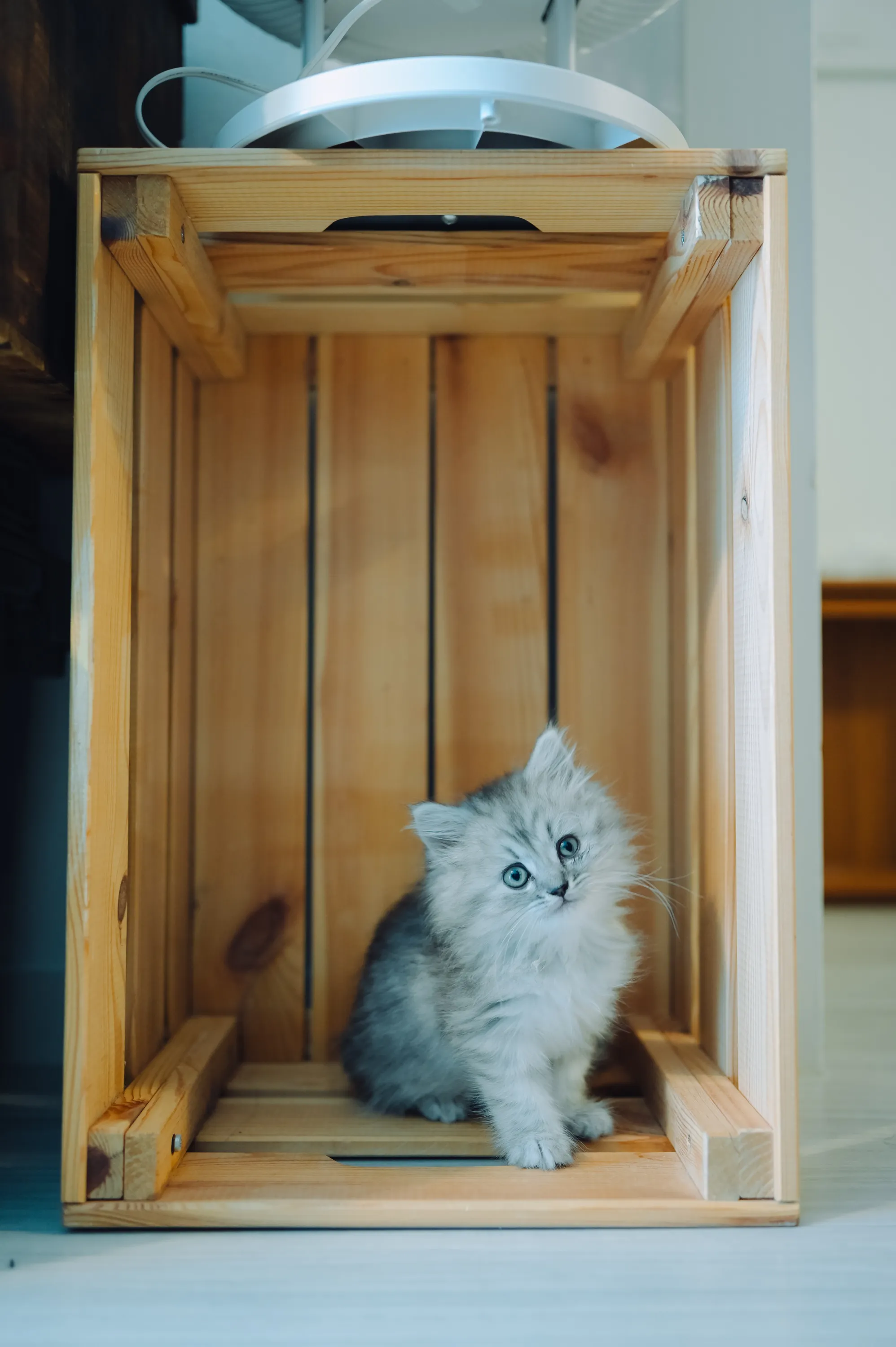 2021 — 02 — 03に撮影したうみの写真
