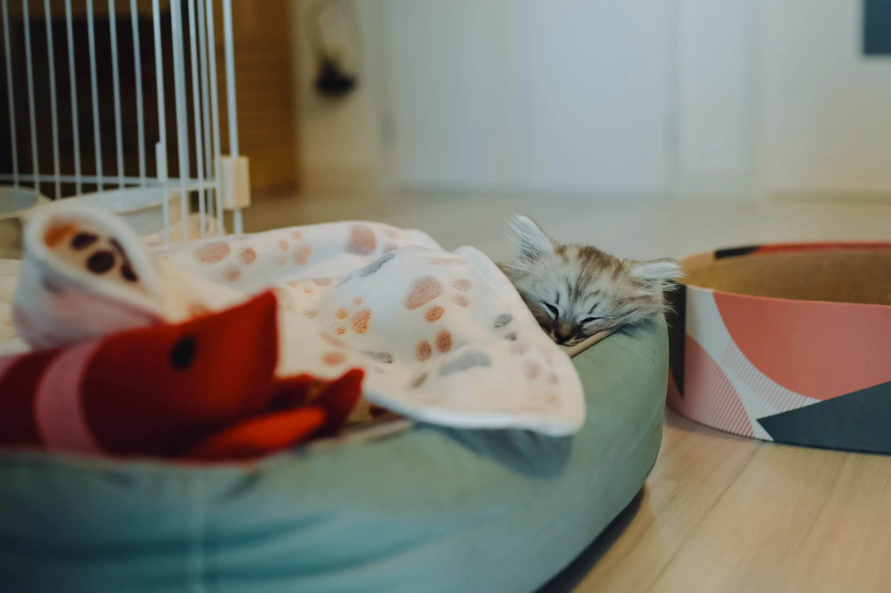 2021 — 02 — 04に撮影したうみとあおの写真