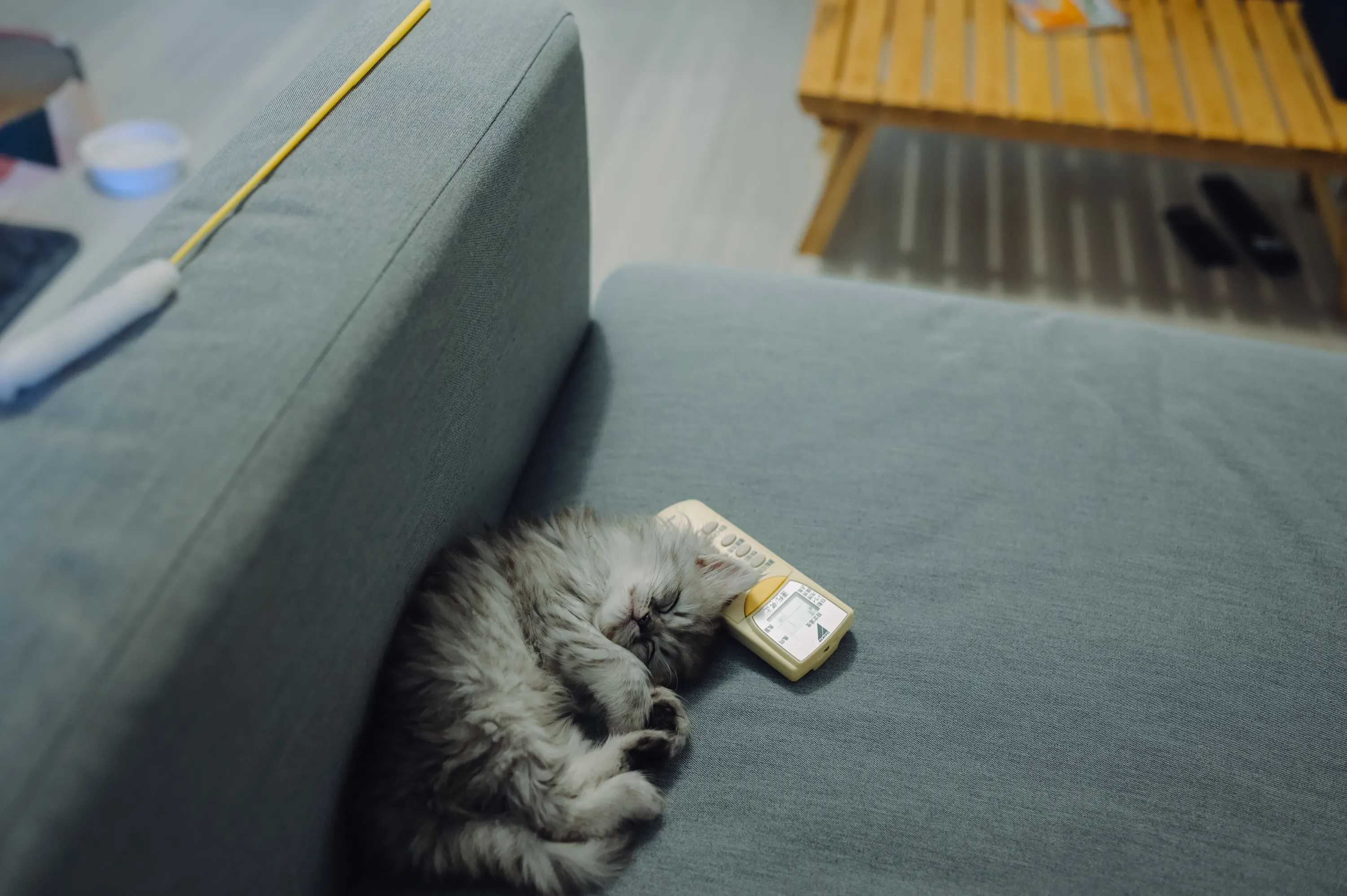 2021 — 02 — 05に撮影したうみの写真
