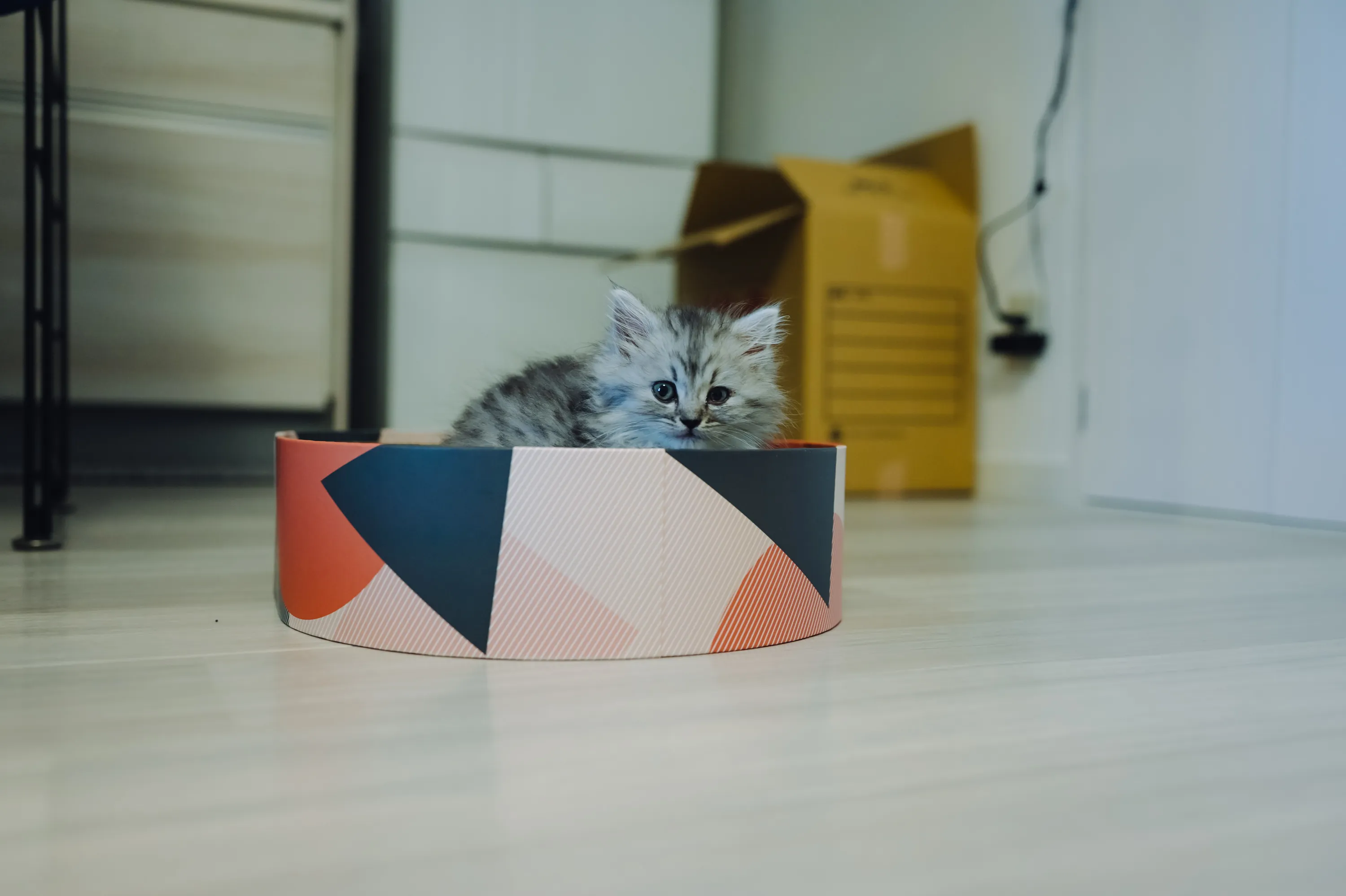 2021 — 02 — 05に撮影したうみの写真