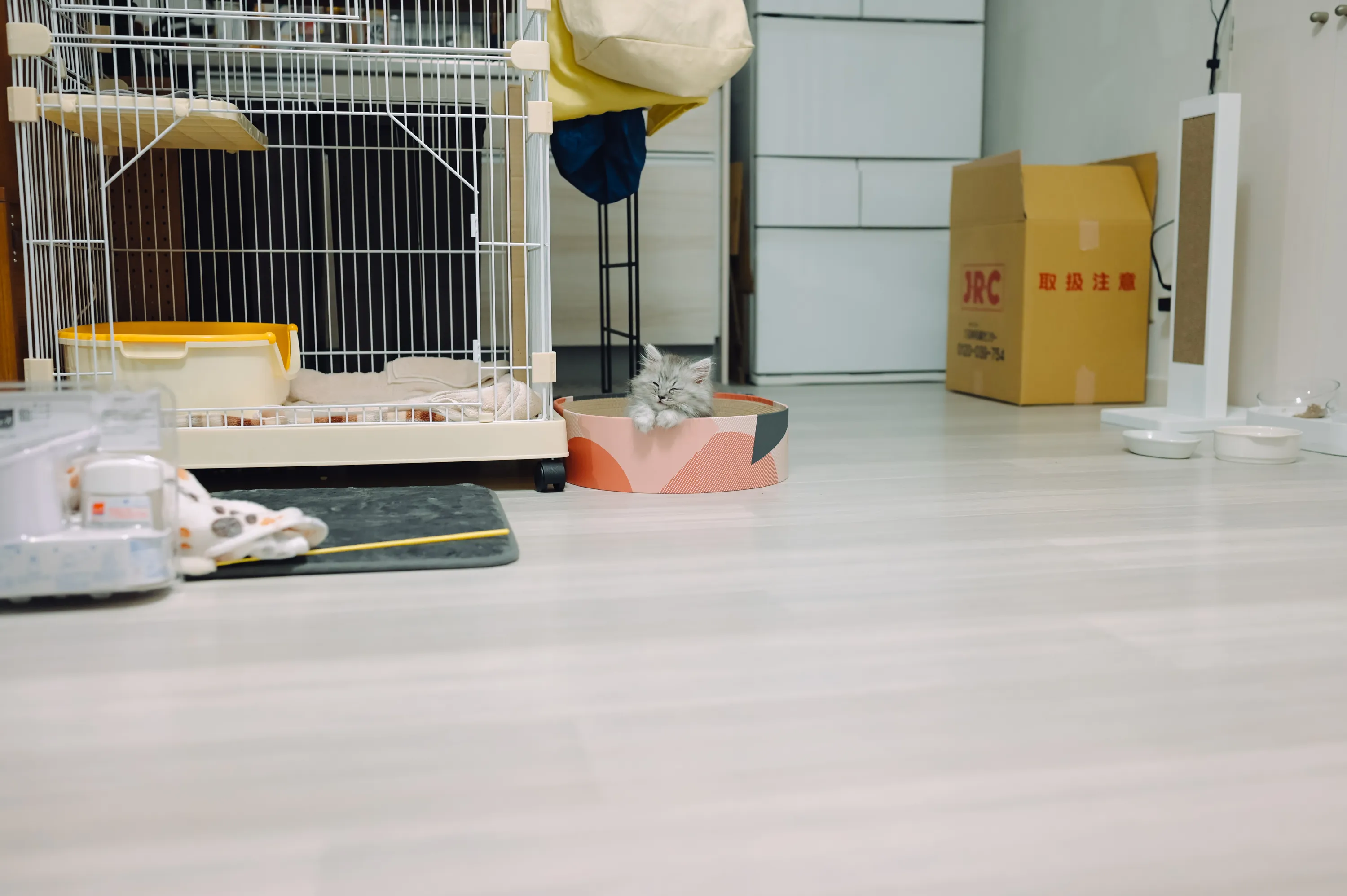 2021 — 02 — 06に撮影したうみの写真