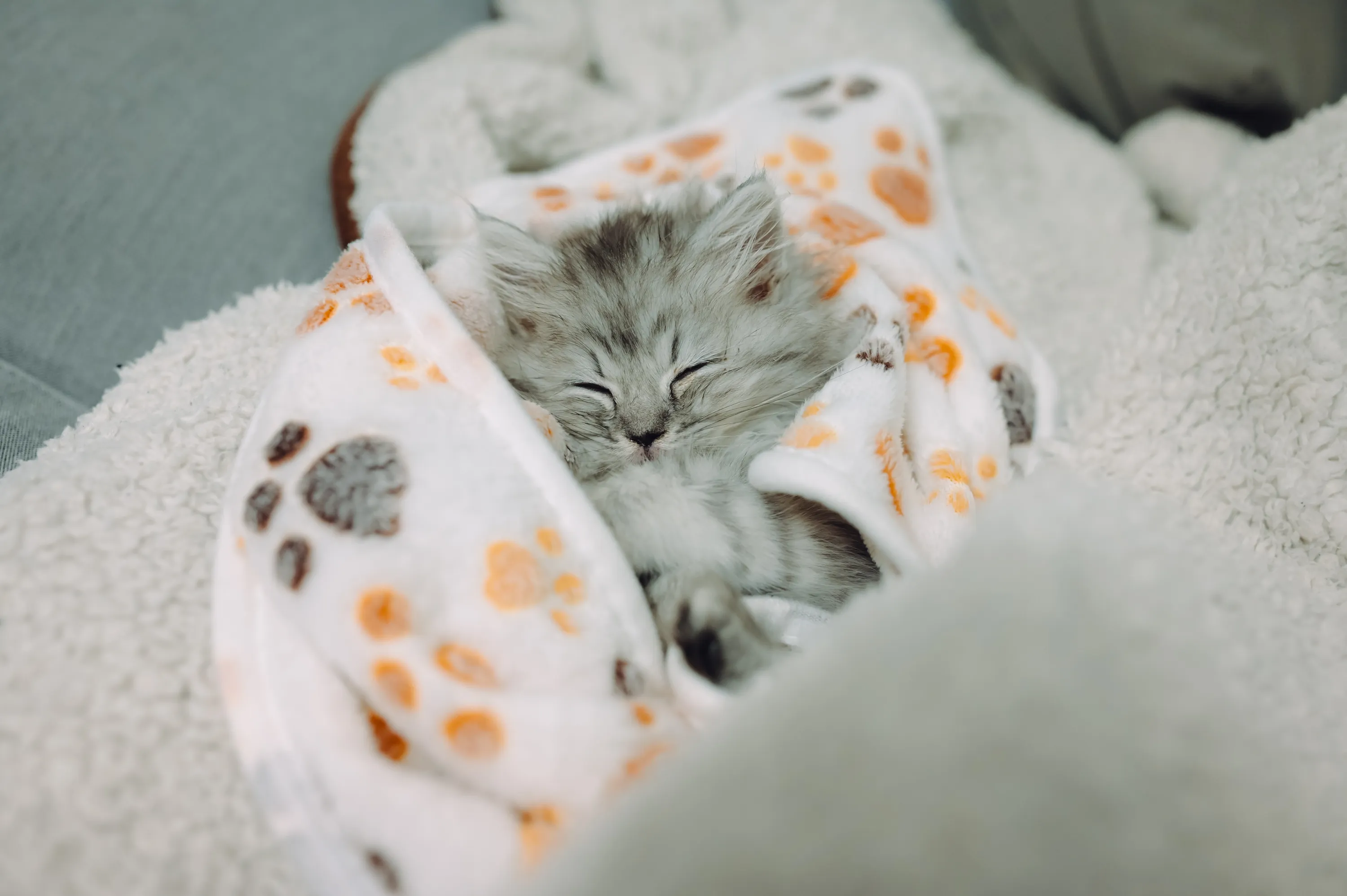 2021 — 02 — 07に撮影したうみの写真