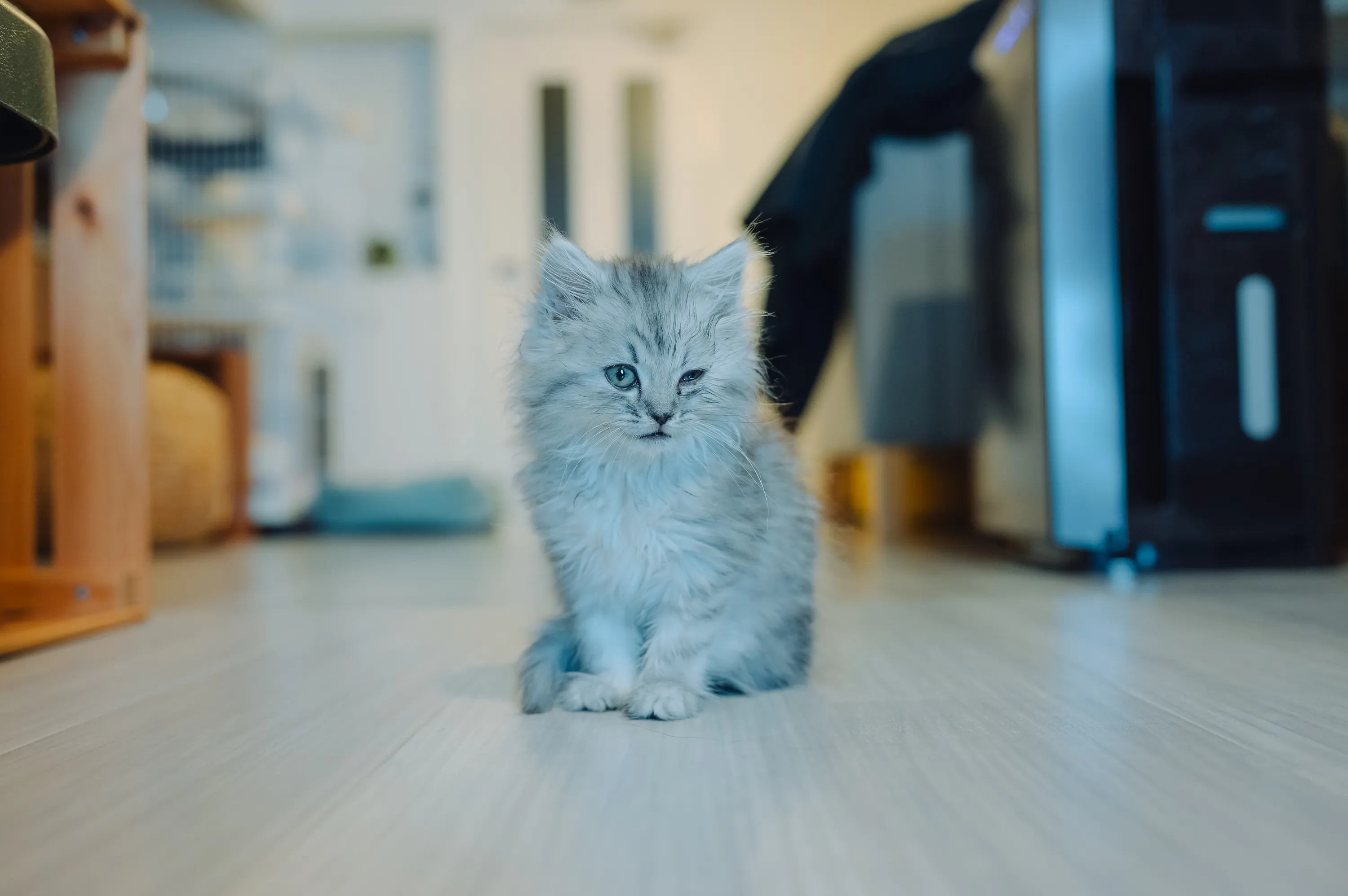 2021 — 02 — 08に撮影したうみの写真
