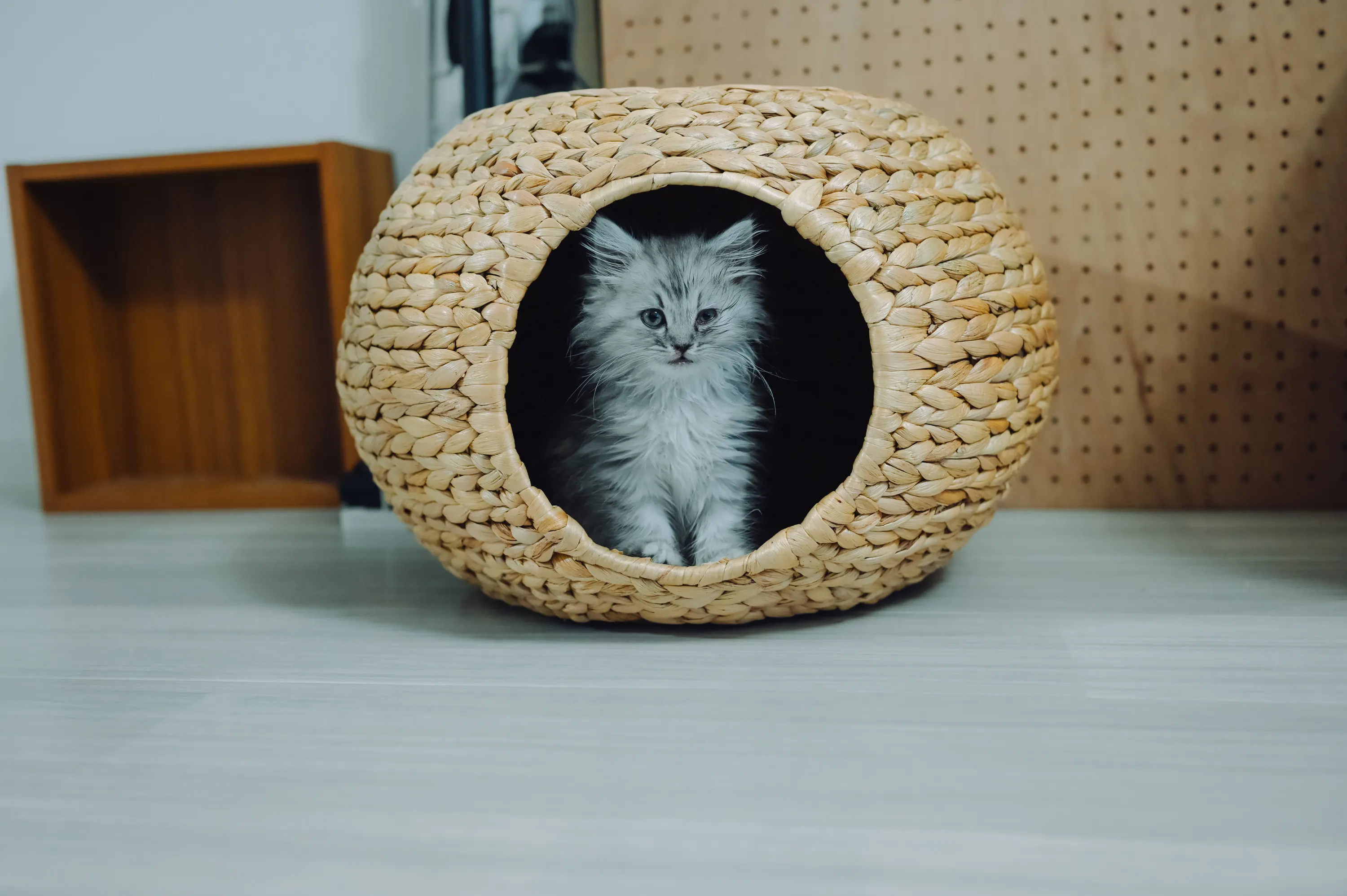 2021 — 02 — 08に撮影したうみの写真
