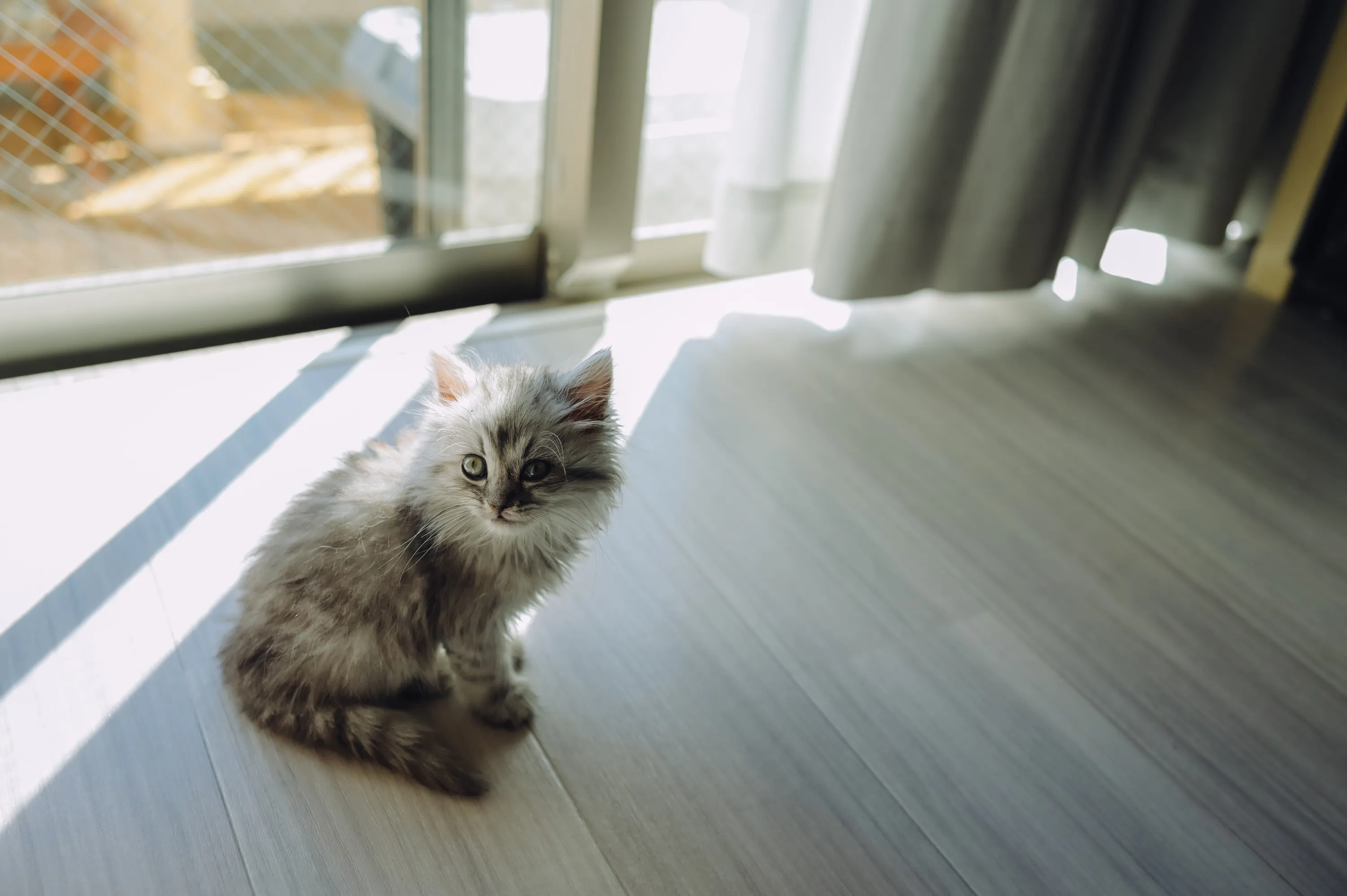 2021 — 02 — 09に撮影したうみとあおの写真