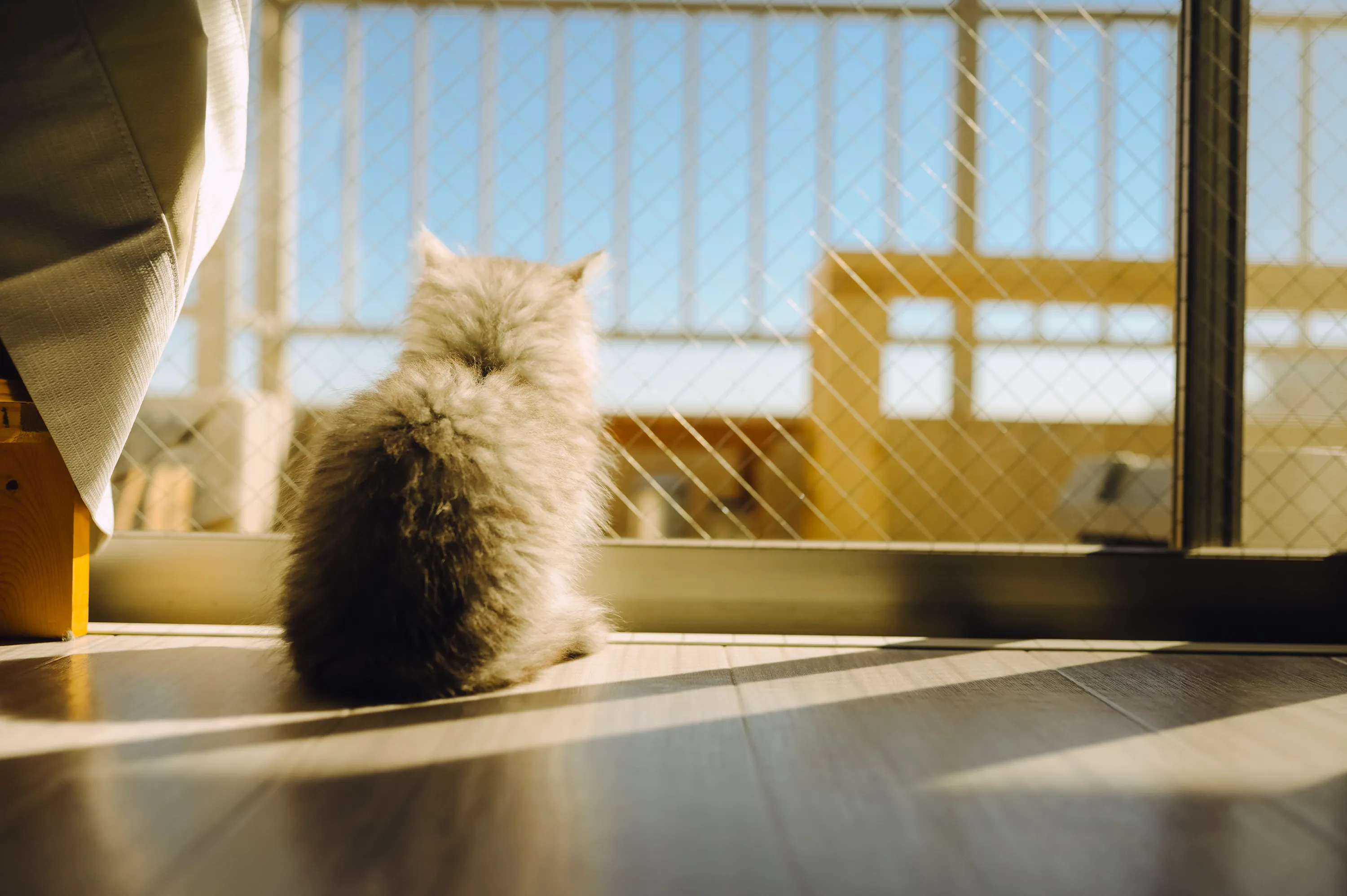 2021 — 02 — 09に撮影したうみの写真