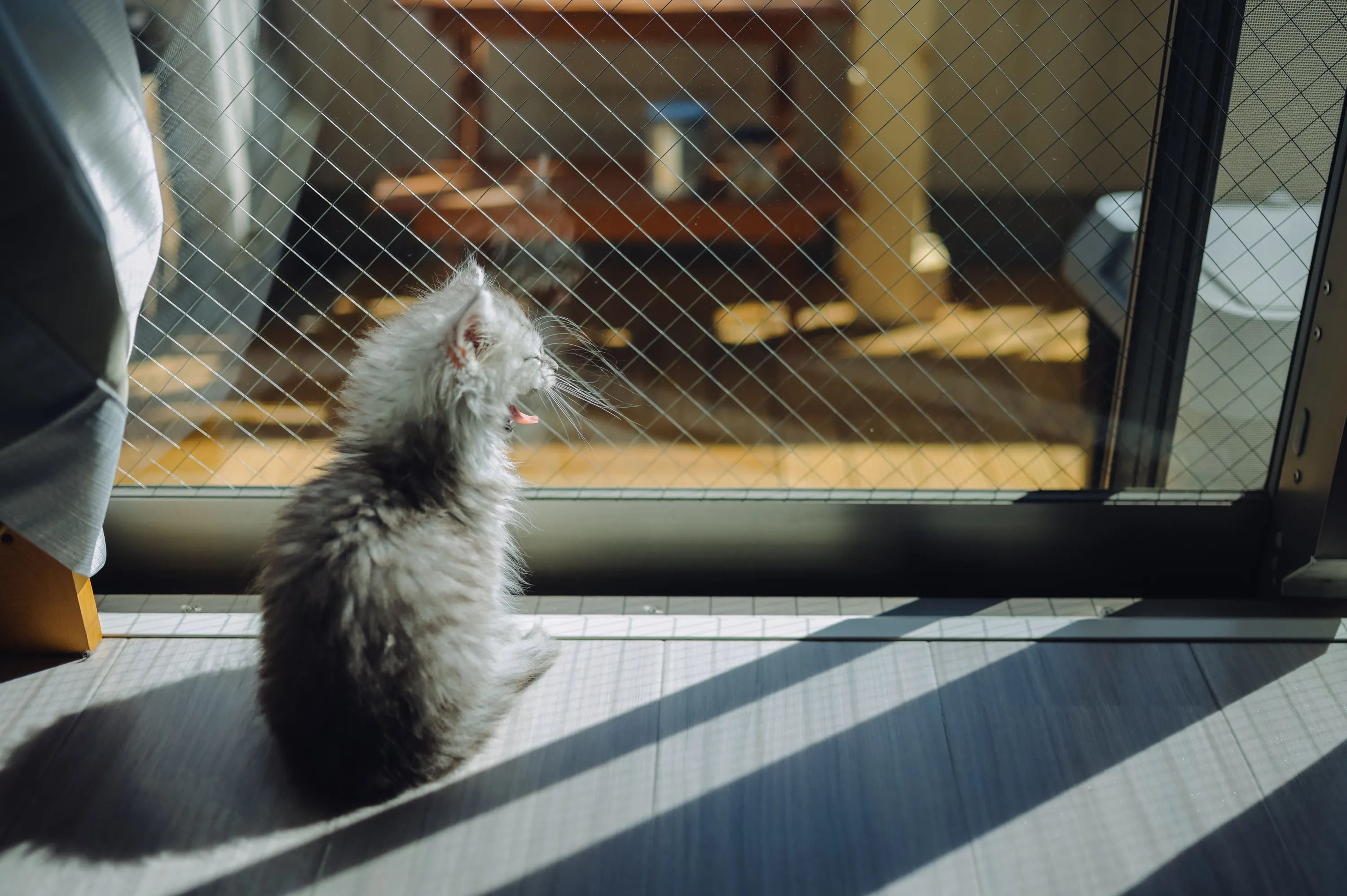 2021 — 02 — 09に撮影したうみの写真