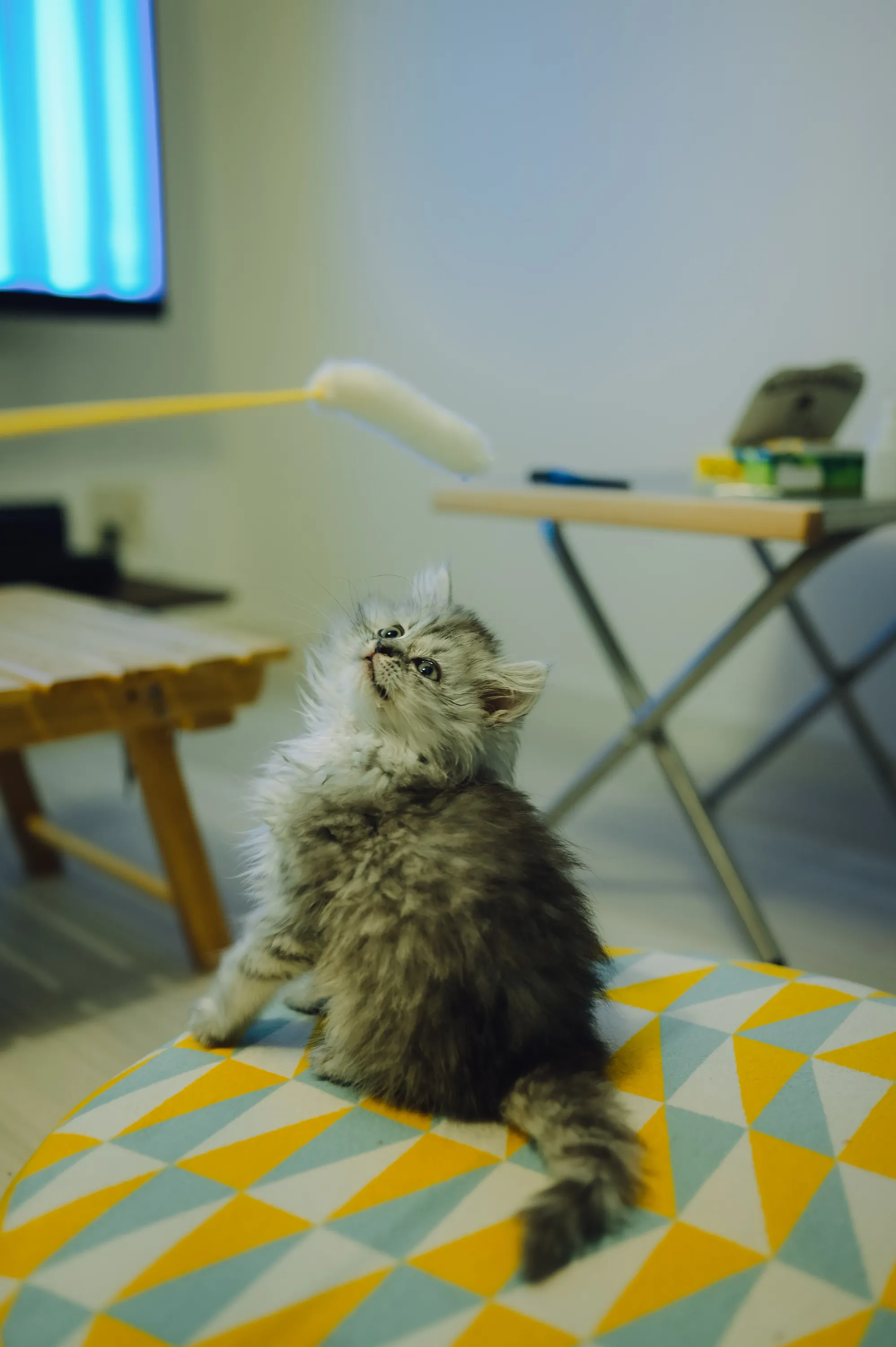 2021 — 02 — 09に撮影したうみの写真