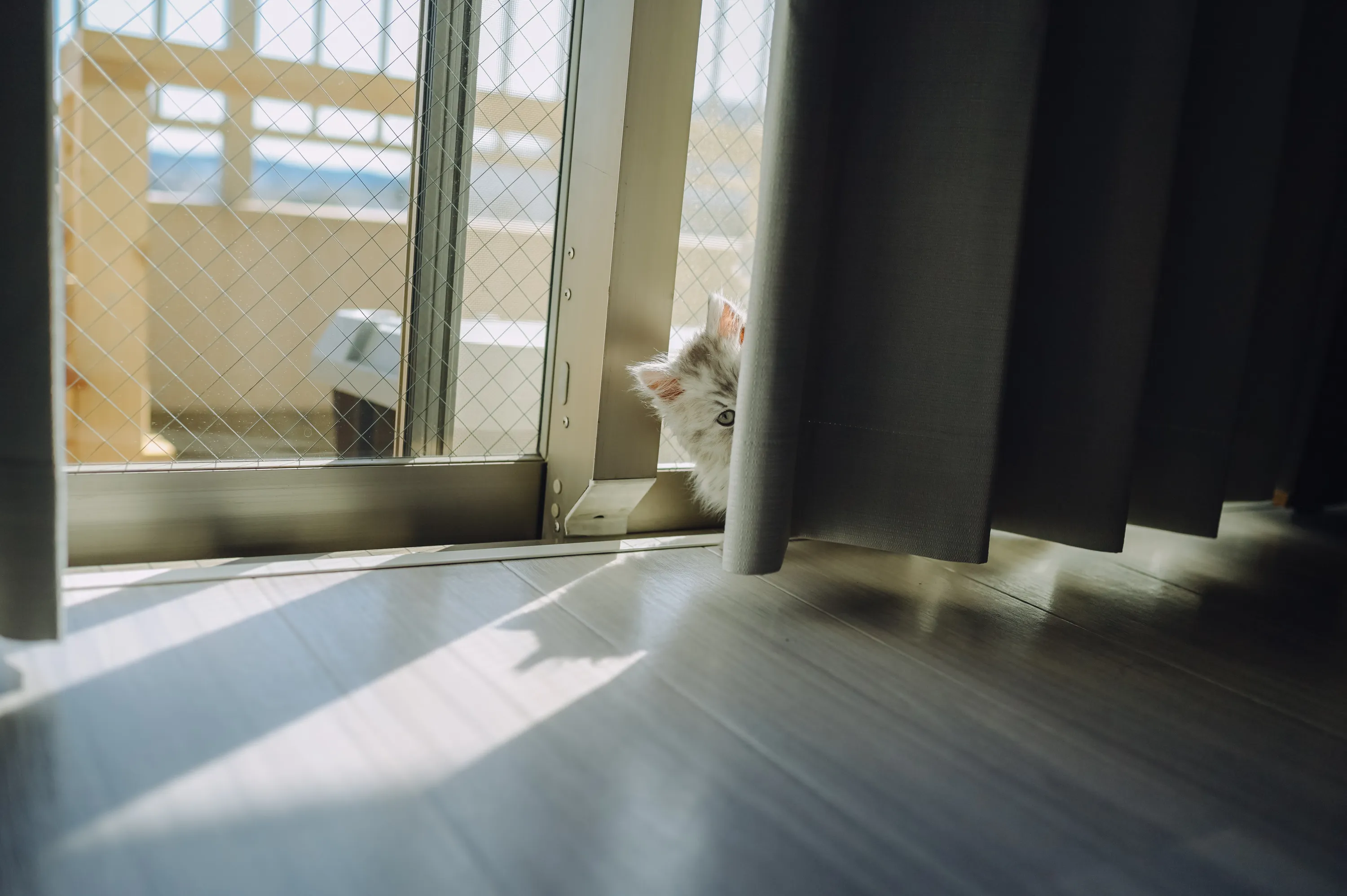 2021 — 02 — 10に撮影したうみとあおの写真