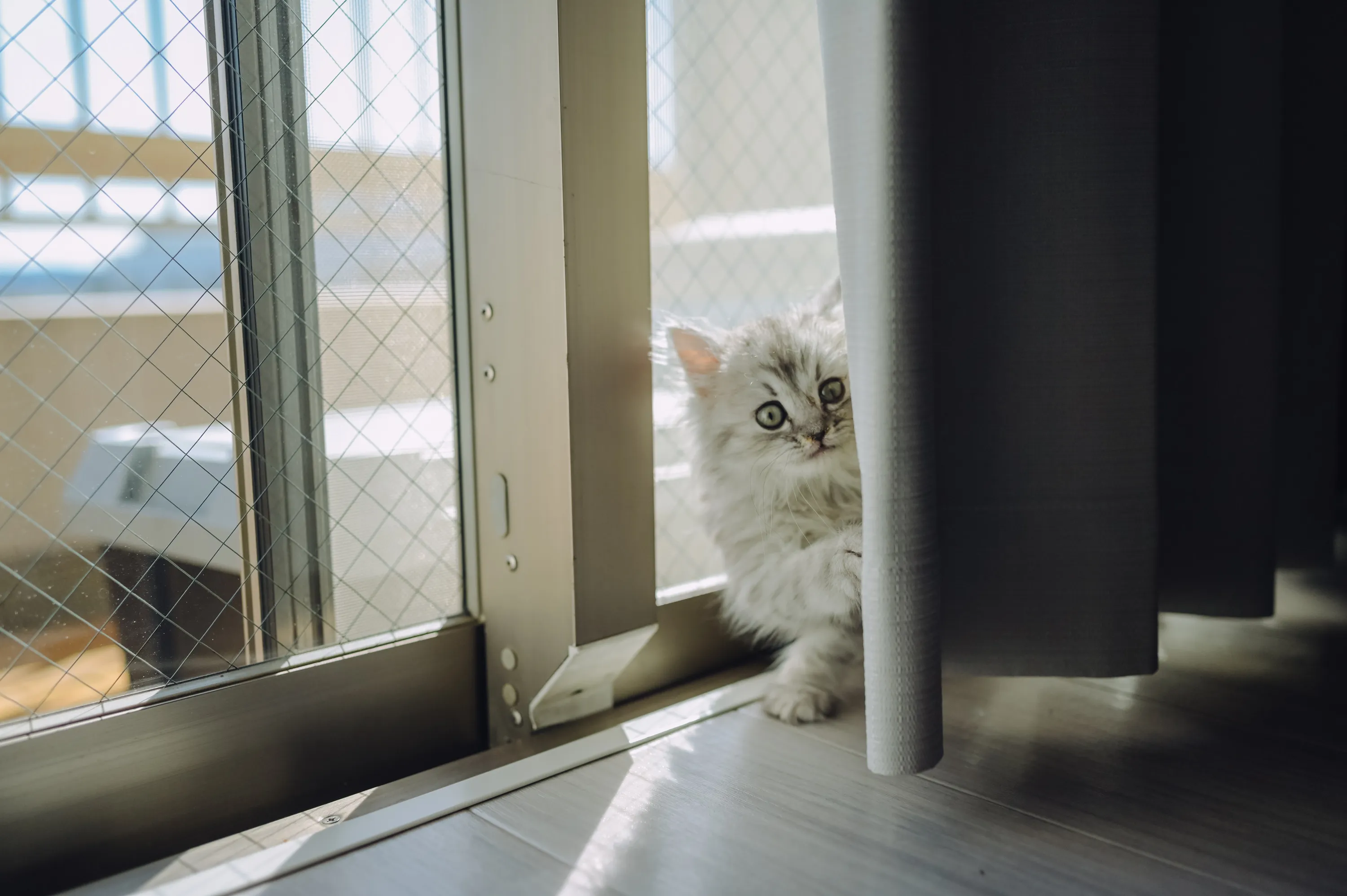 2021 — 02 — 10に撮影したうみの写真