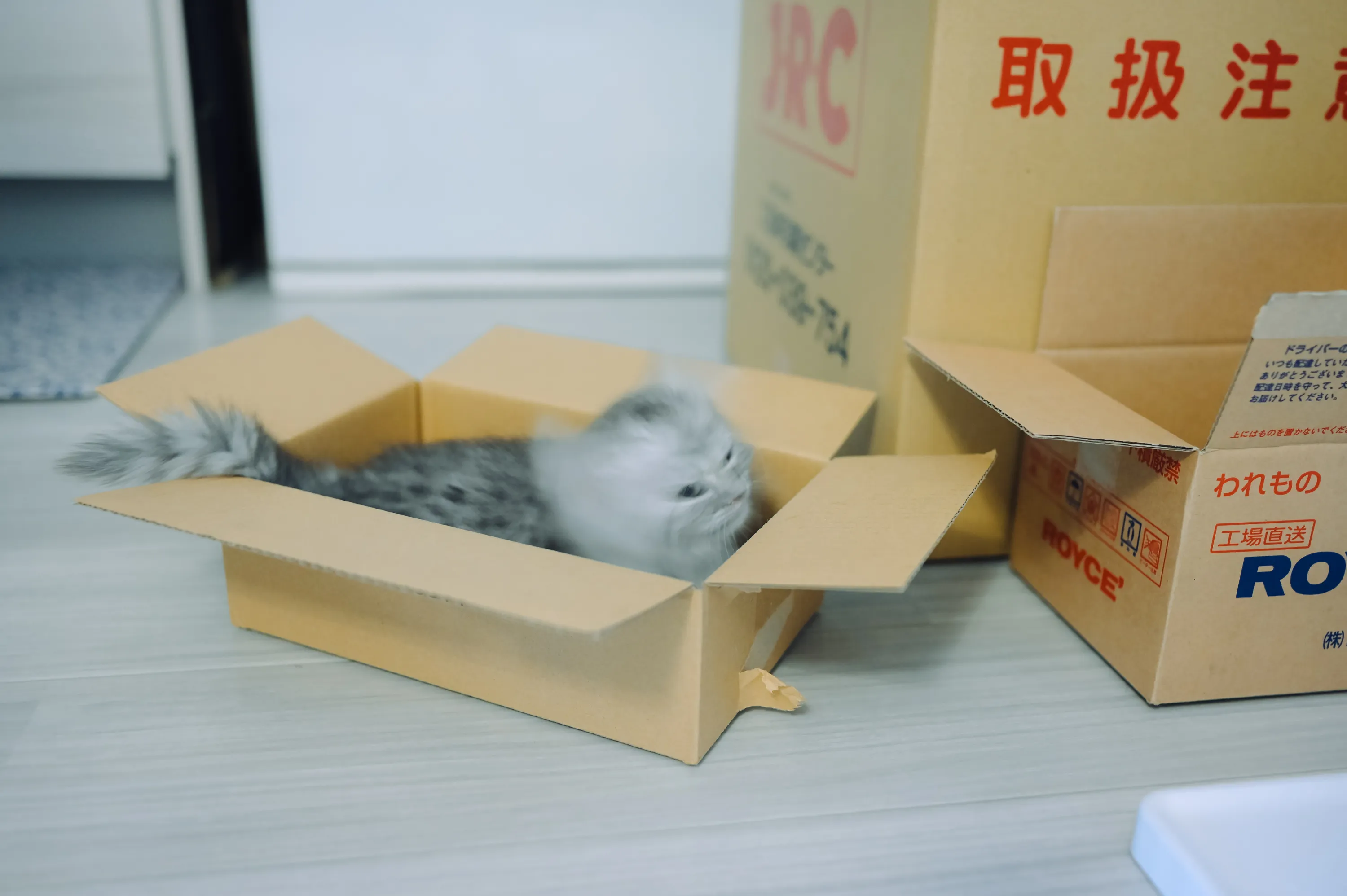 2021 — 02 — 12に撮影したうみの写真