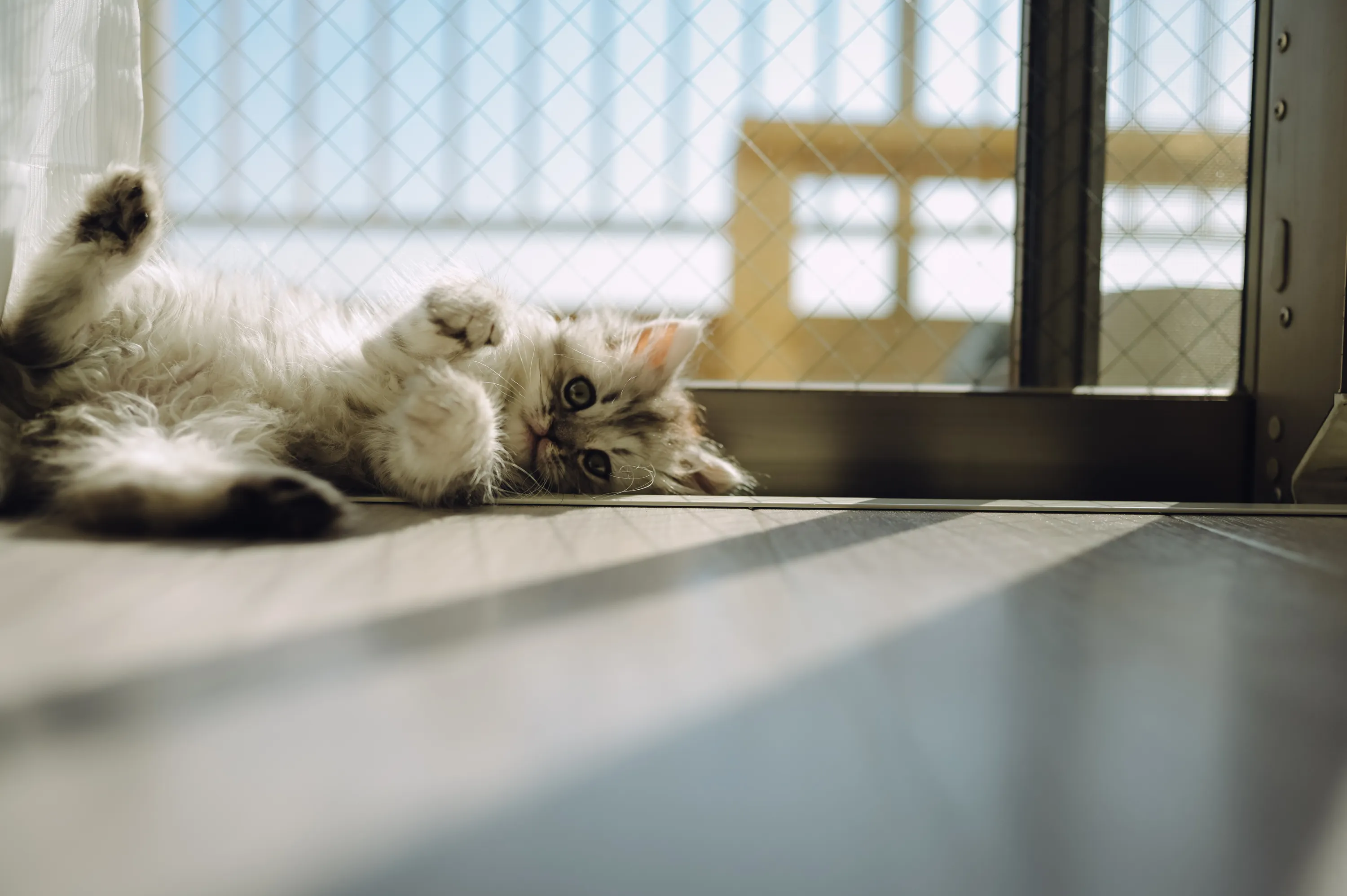 2021 — 02 — 13に撮影したうみとあおの写真