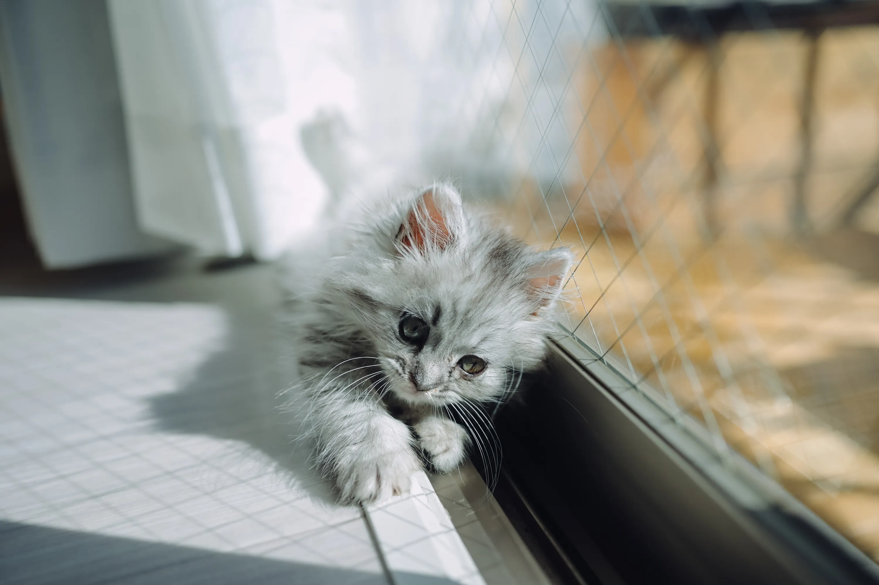 2021 — 02 — 13に撮影したうみの写真
