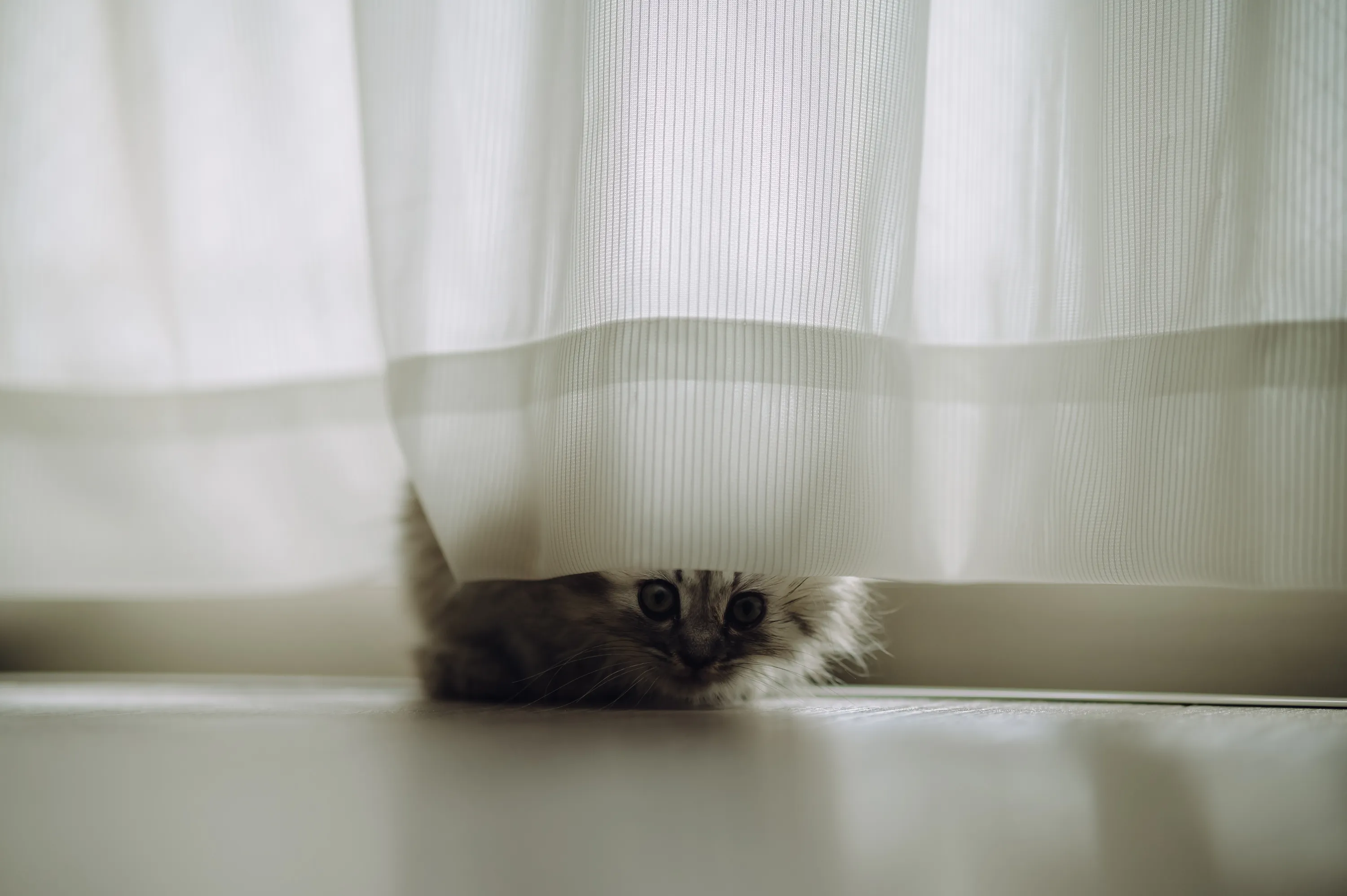 2021 — 02 — 14に撮影したうみとあおの写真
