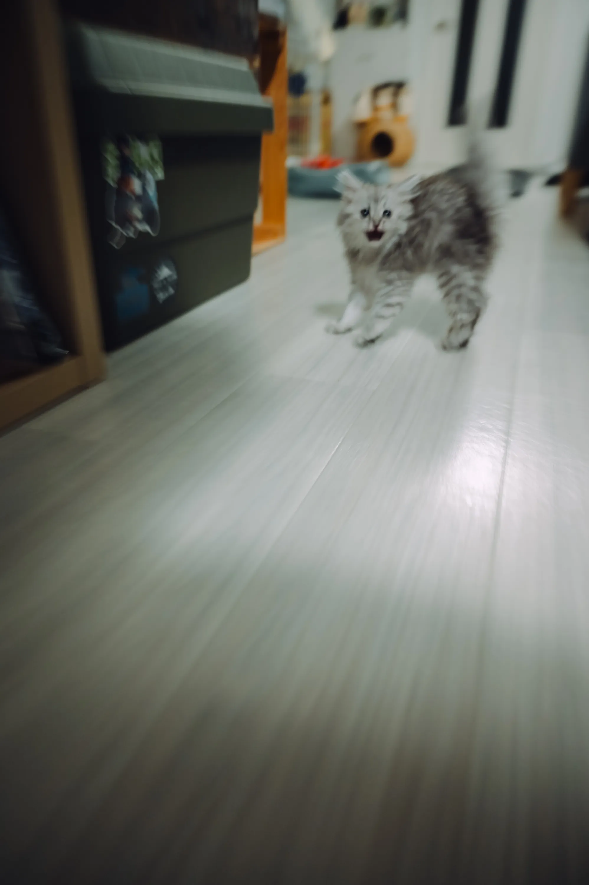 2021 — 02 — 15に撮影したうみの写真