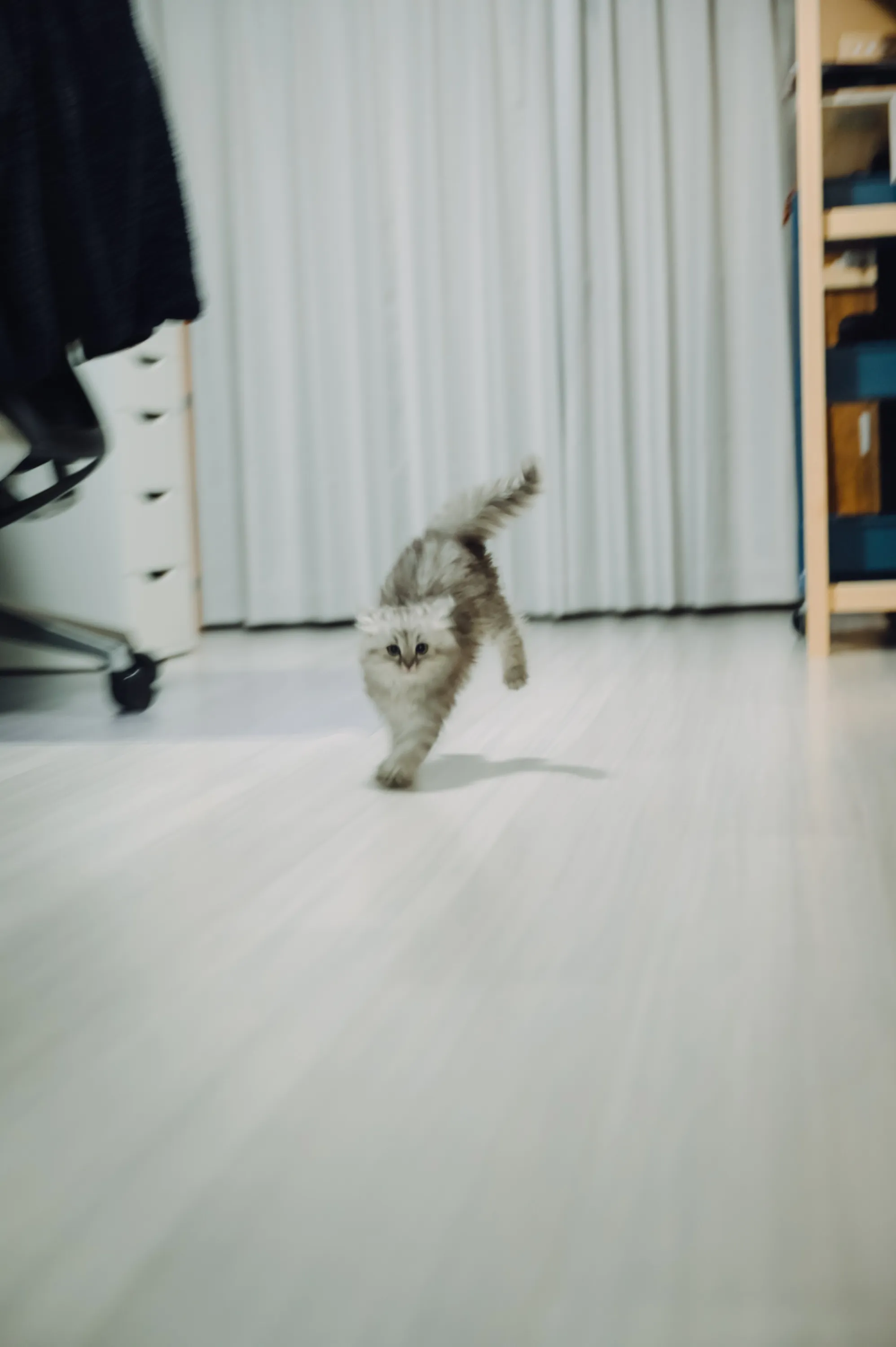 2021 — 02 — 15に撮影したうみの写真