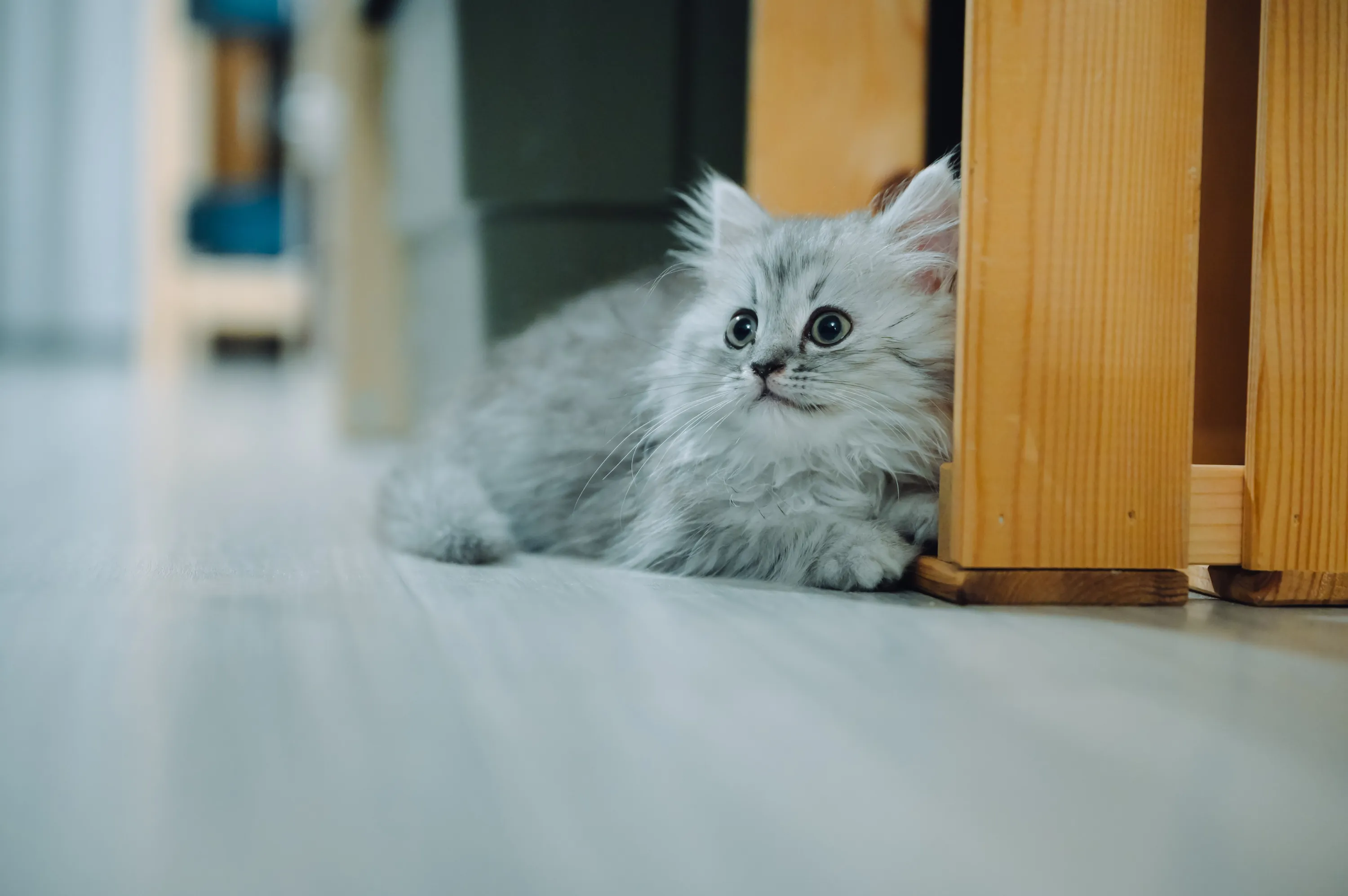 2021 — 02 — 15に撮影したうみの写真
