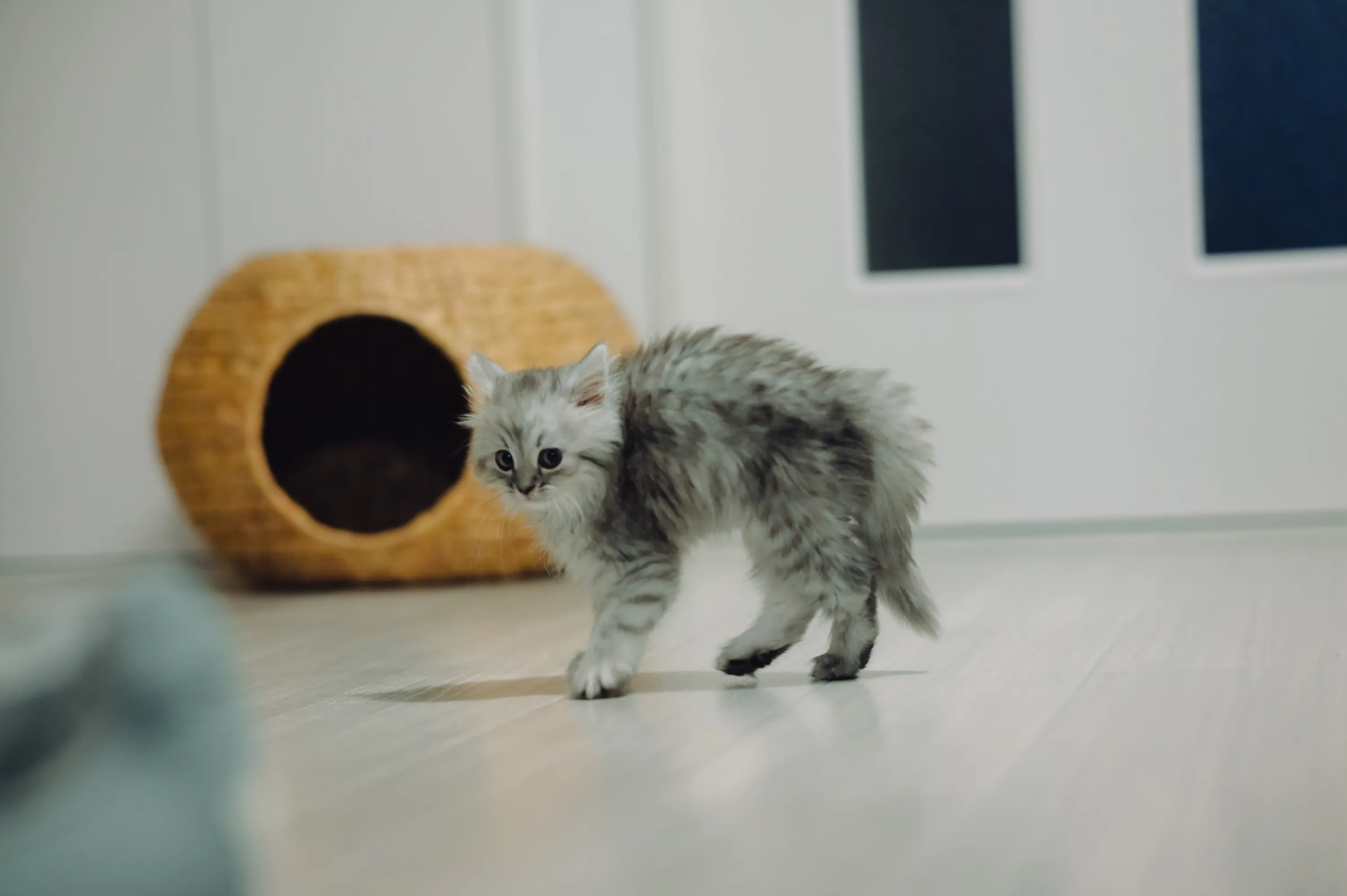 2021 — 02 — 15に撮影したうみの写真