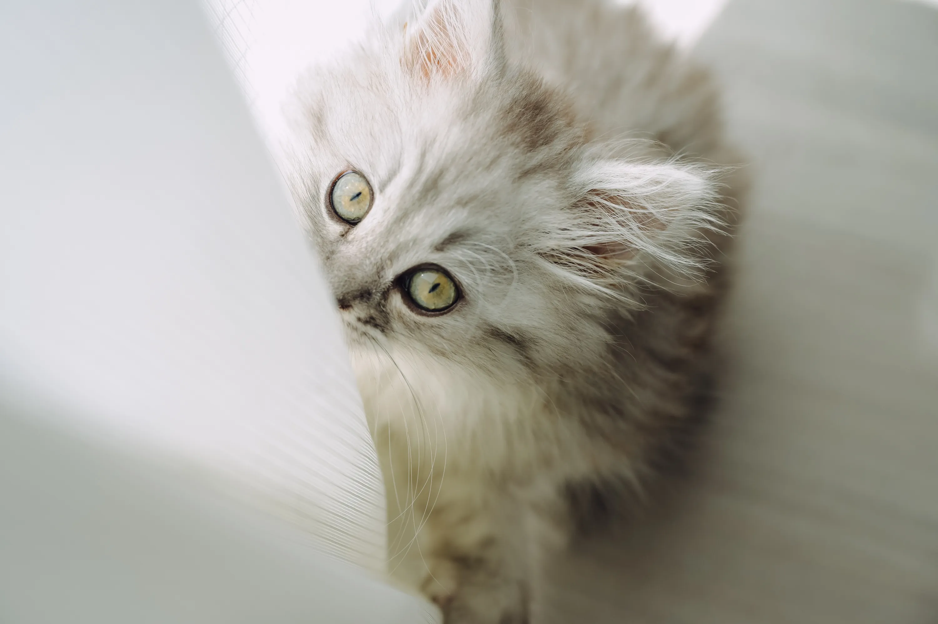2021 — 02 — 18に撮影したうみとあおの写真