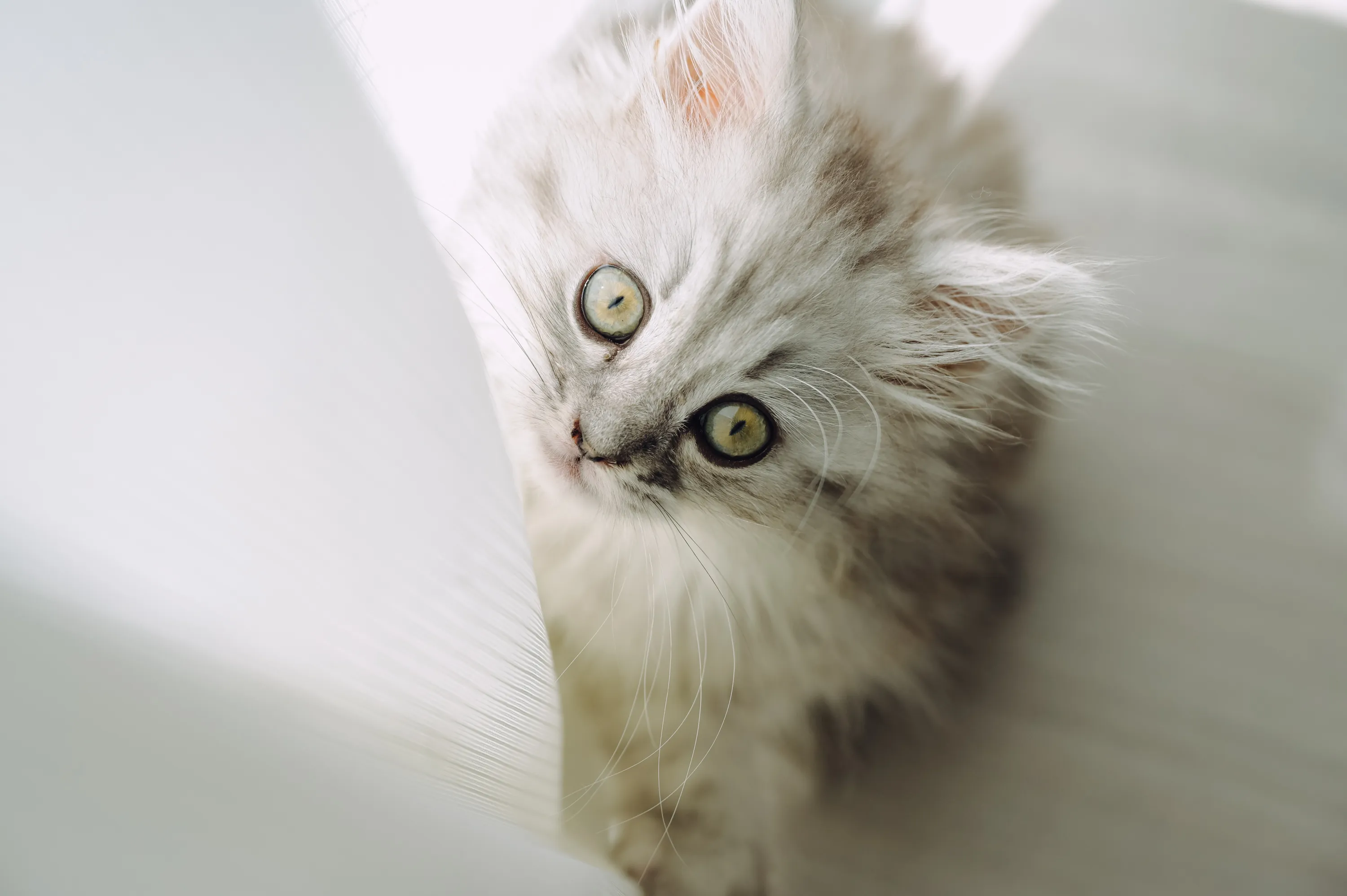 2021 — 02 — 18に撮影したうみの写真
