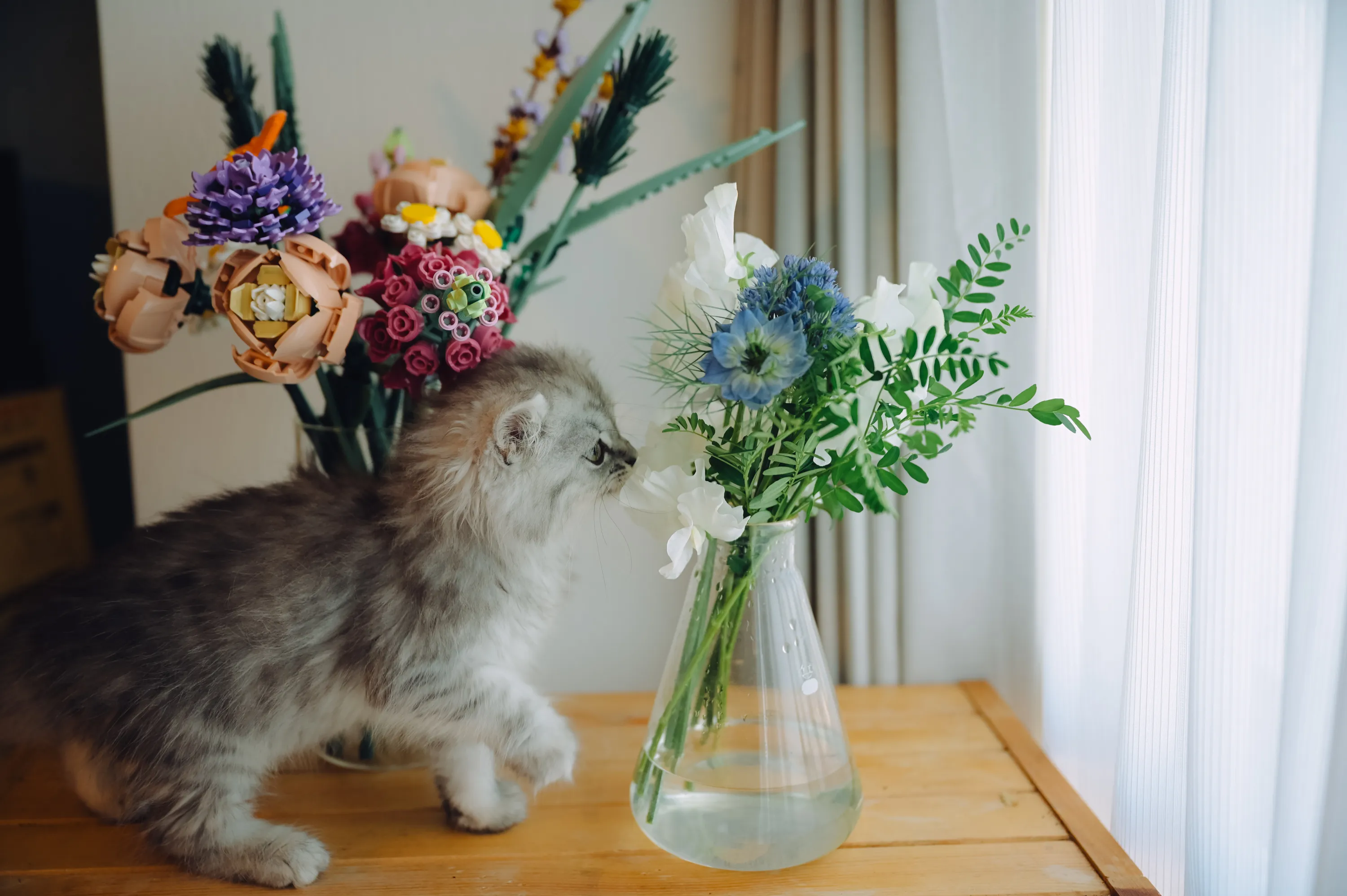 2021 — 02 — 20に撮影したうみの写真