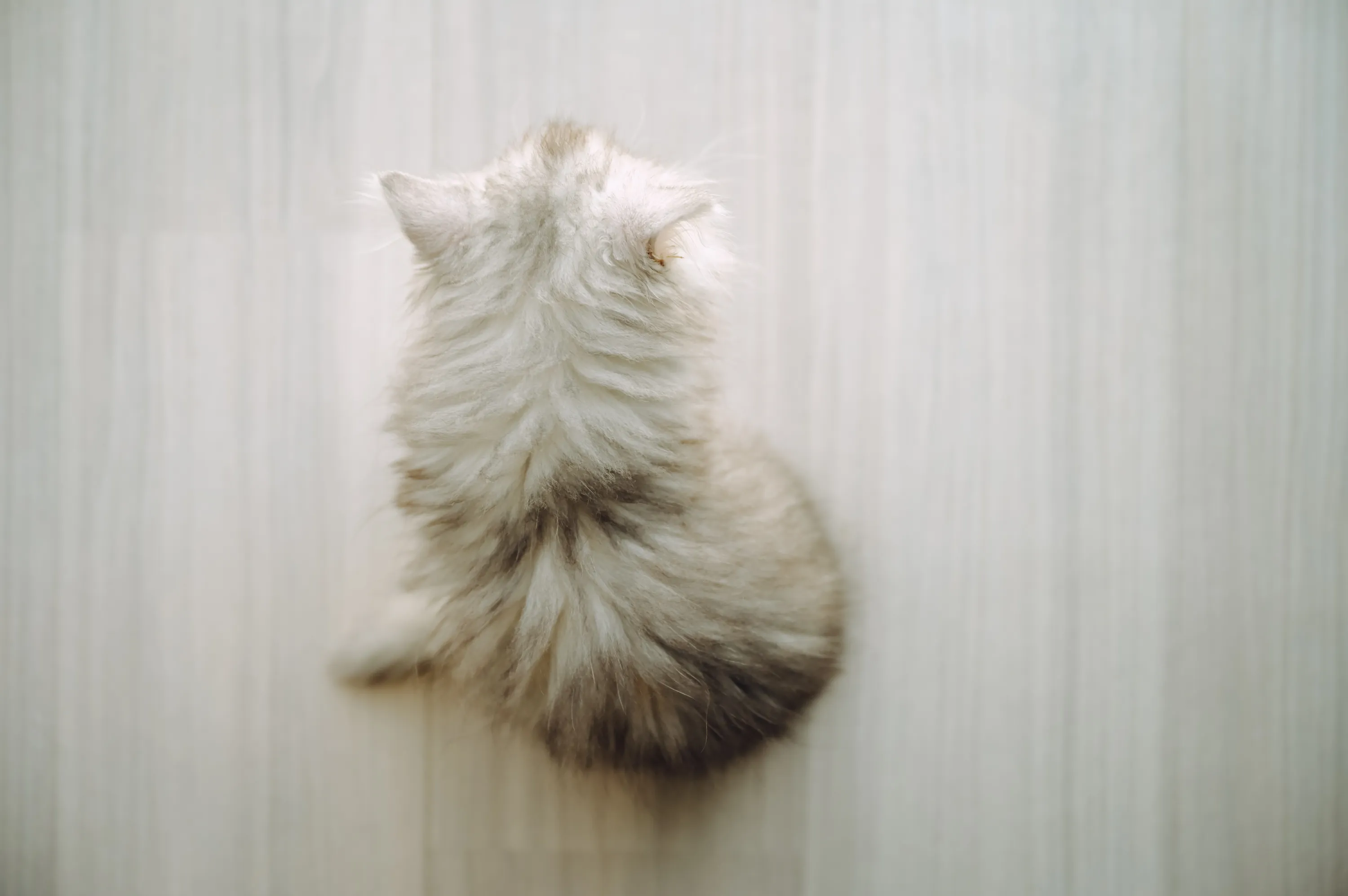 2021 — 02 — 24に撮影したうみとあおの写真