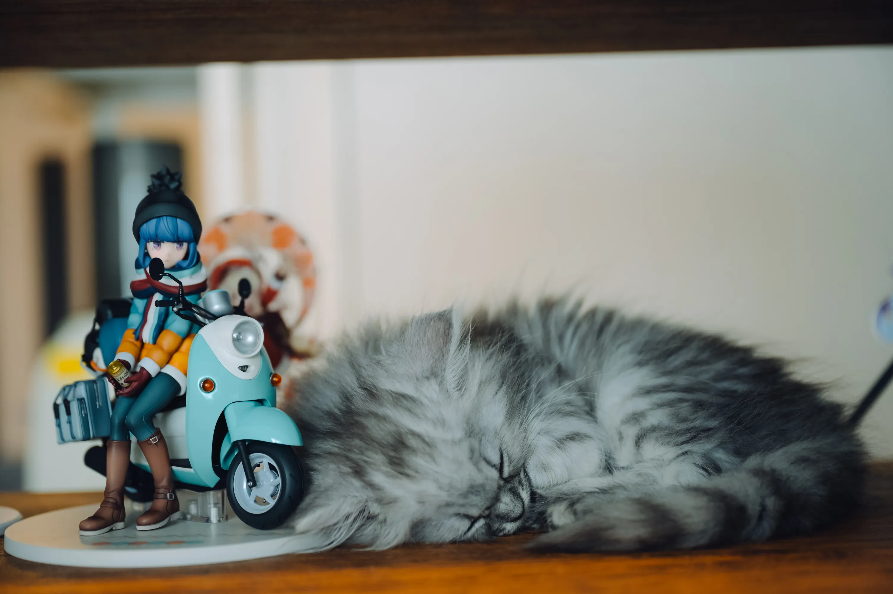 2021 — 02 — 25に撮影したうみの写真