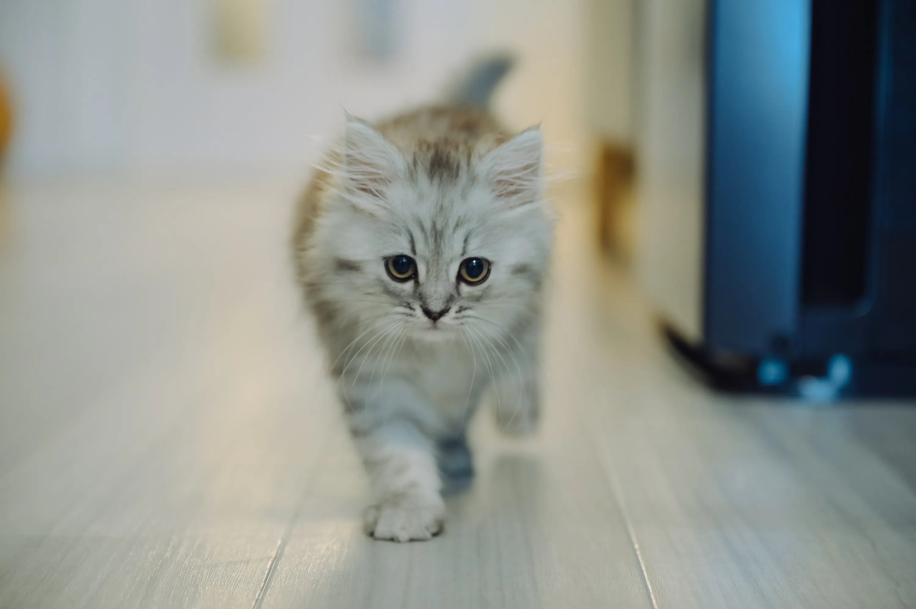 2021 — 02 — 25に撮影したうみとあおの写真