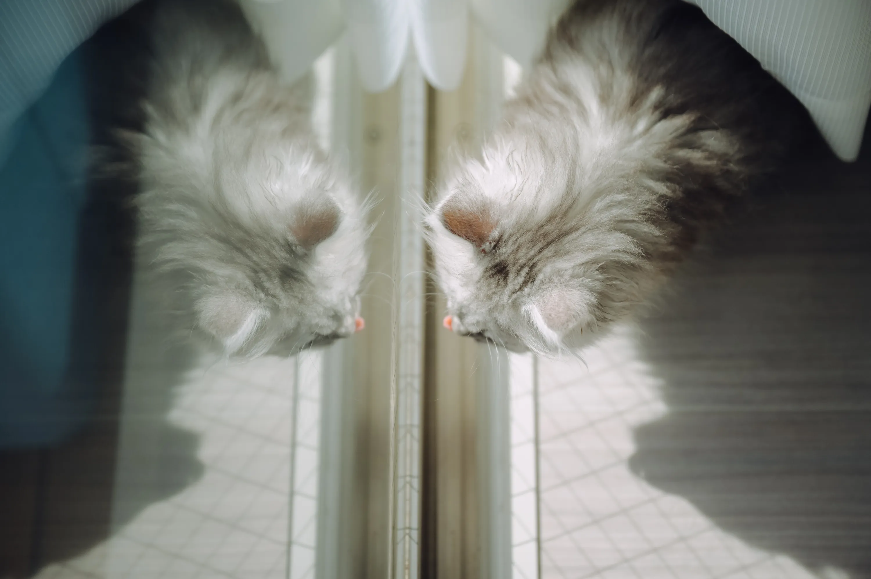 2021 — 02 — 27に撮影したうみとあおの写真