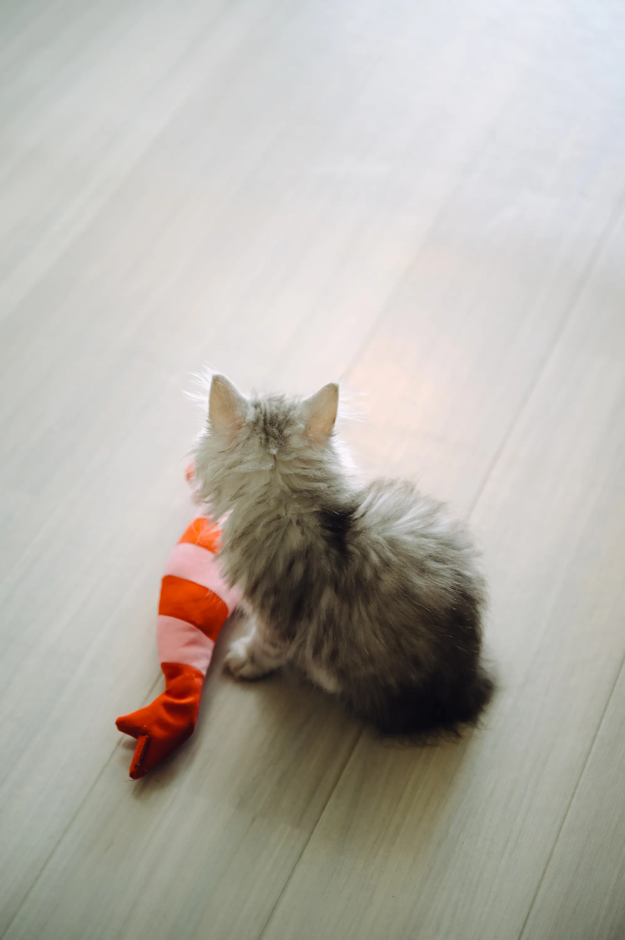 2021 — 02 — 28に撮影したうみの写真