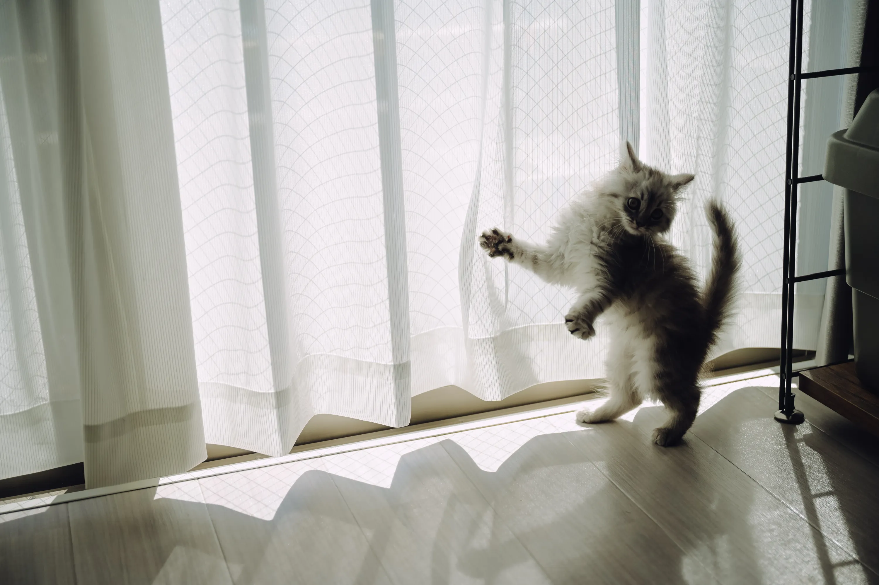 2021 — 03 — 03に撮影したうみとあおの写真