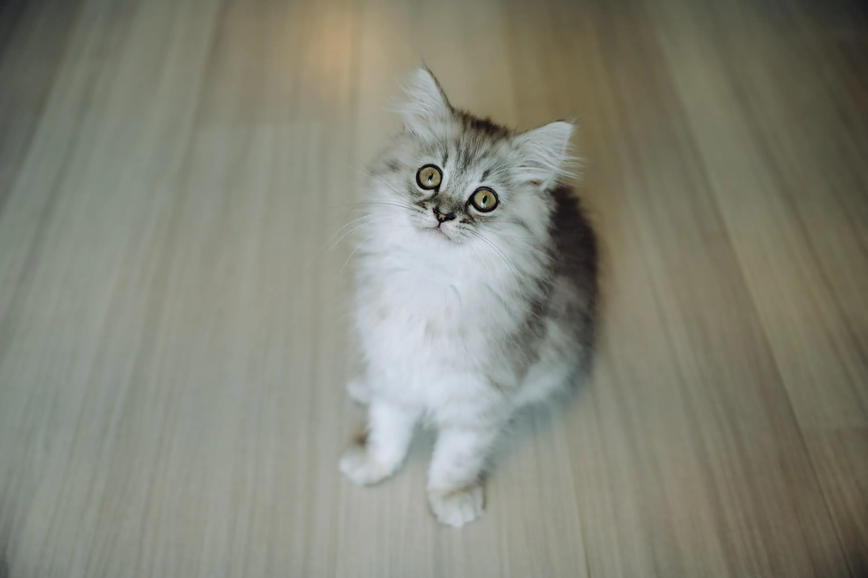 2021 — 03 — 05に撮影したうみの写真