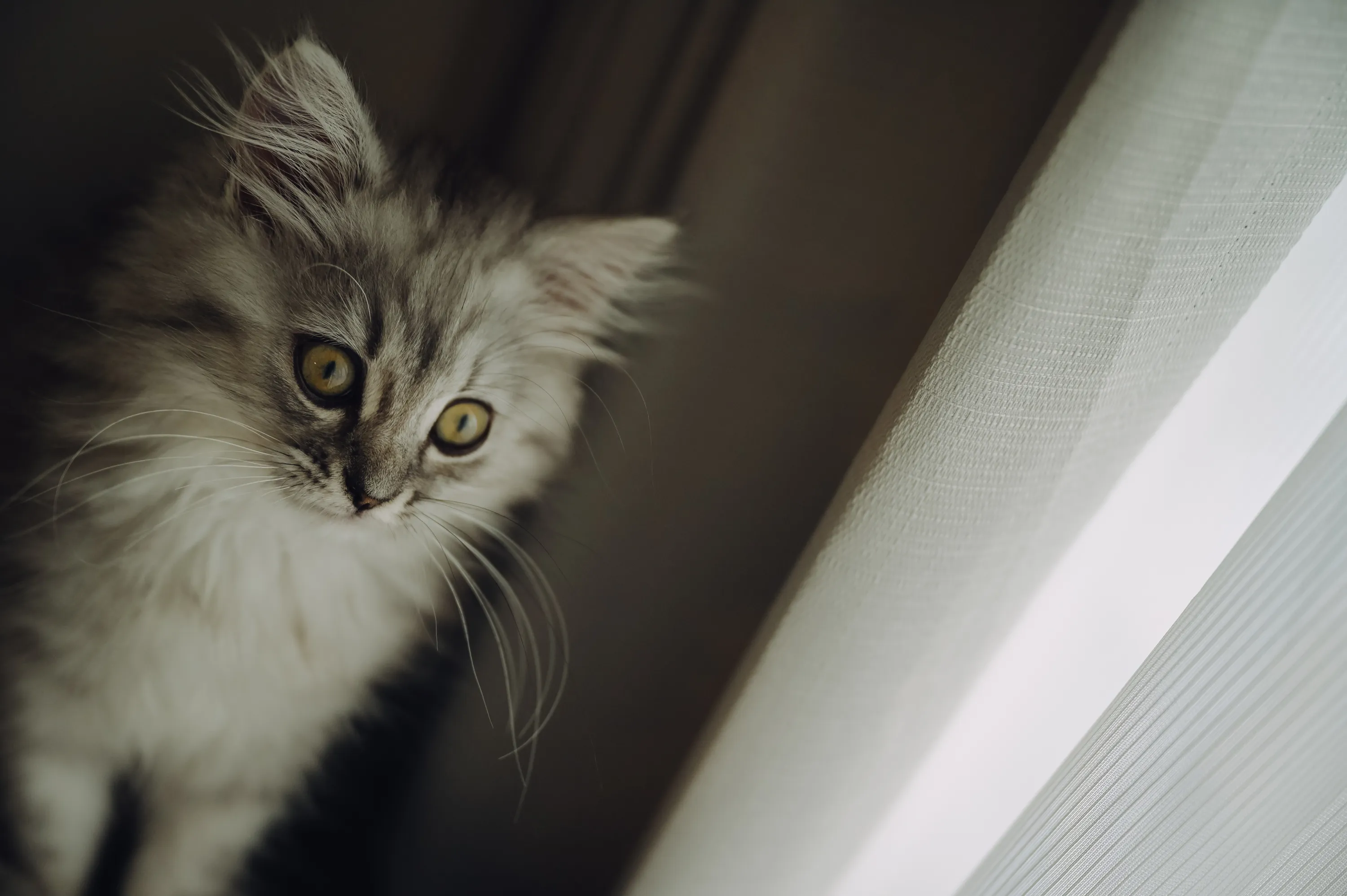 2021 — 03 — 06に撮影したうみの写真