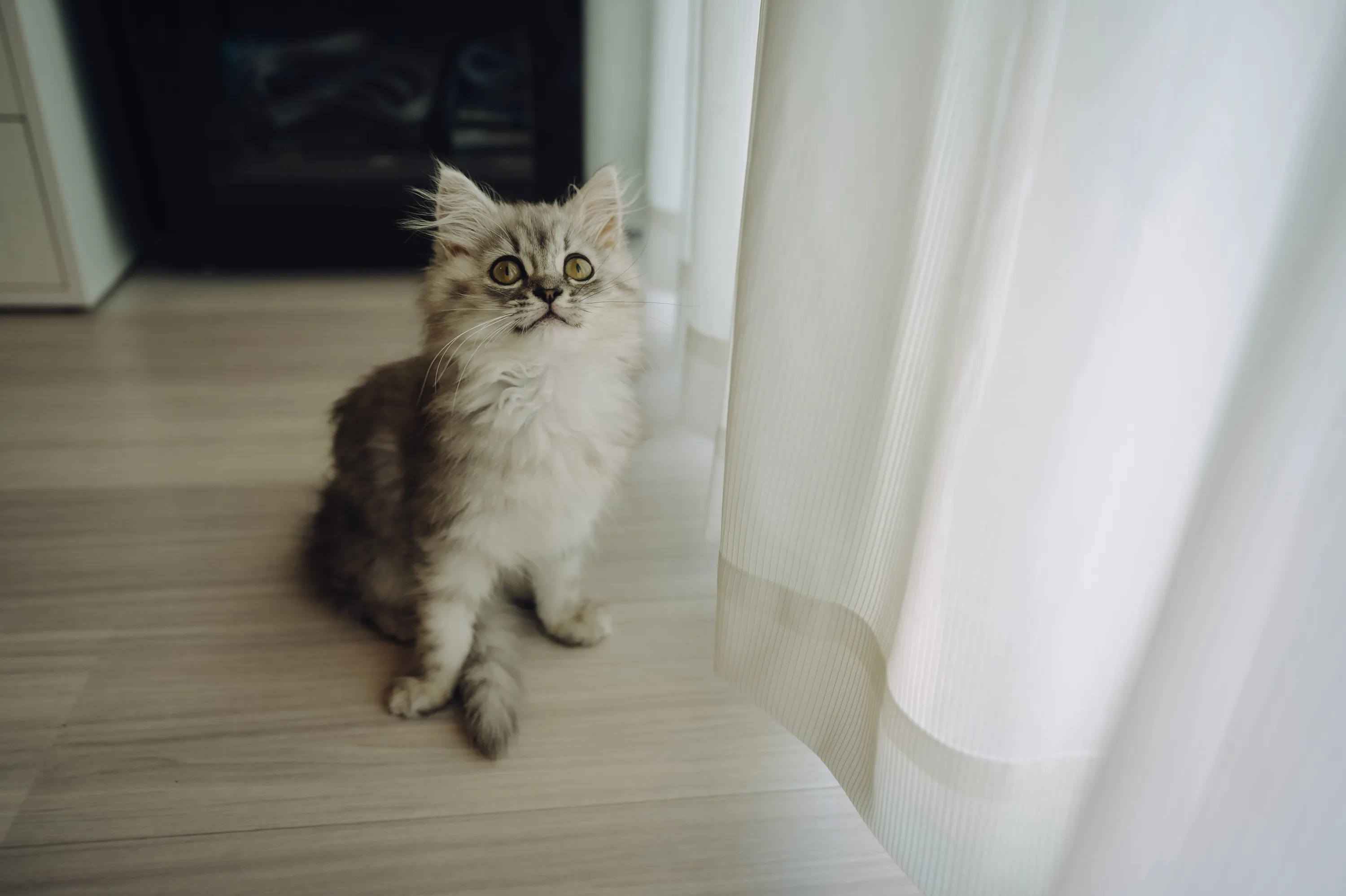 2021 — 03 — 10に撮影したうみとあおの写真