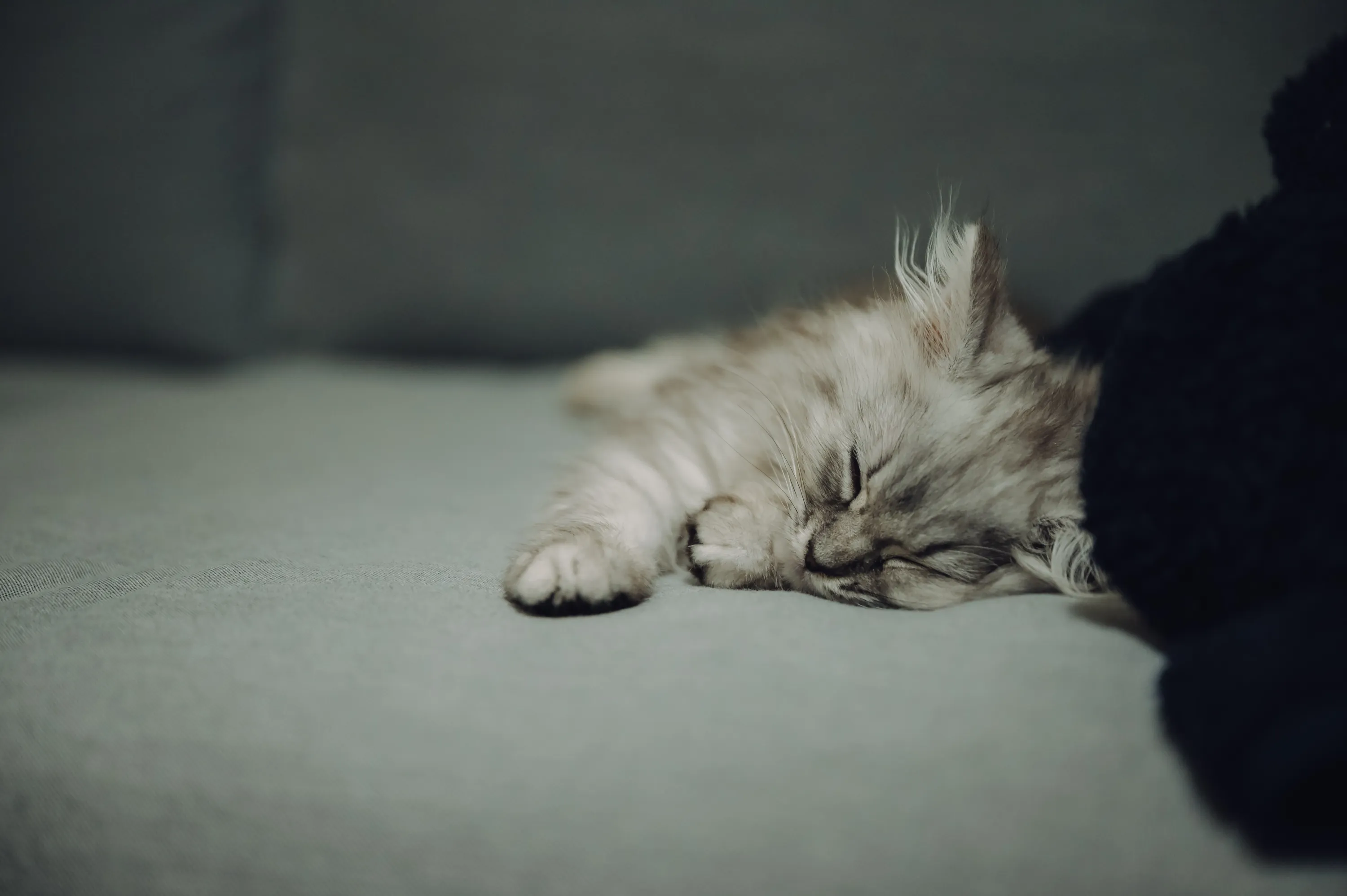2021 — 03 — 10に撮影したうみの写真