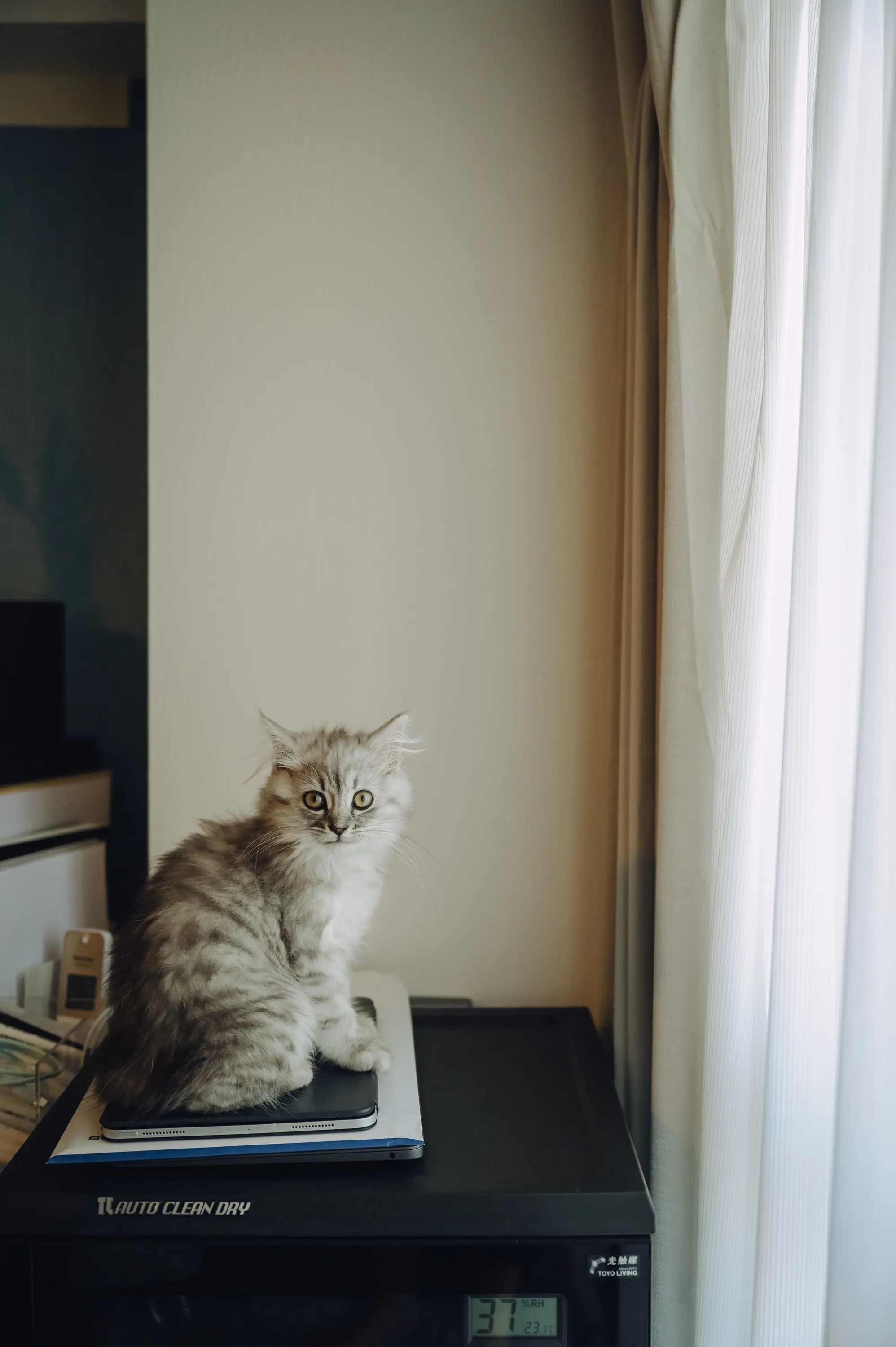 2021 — 03 — 14に撮影したうみの写真
