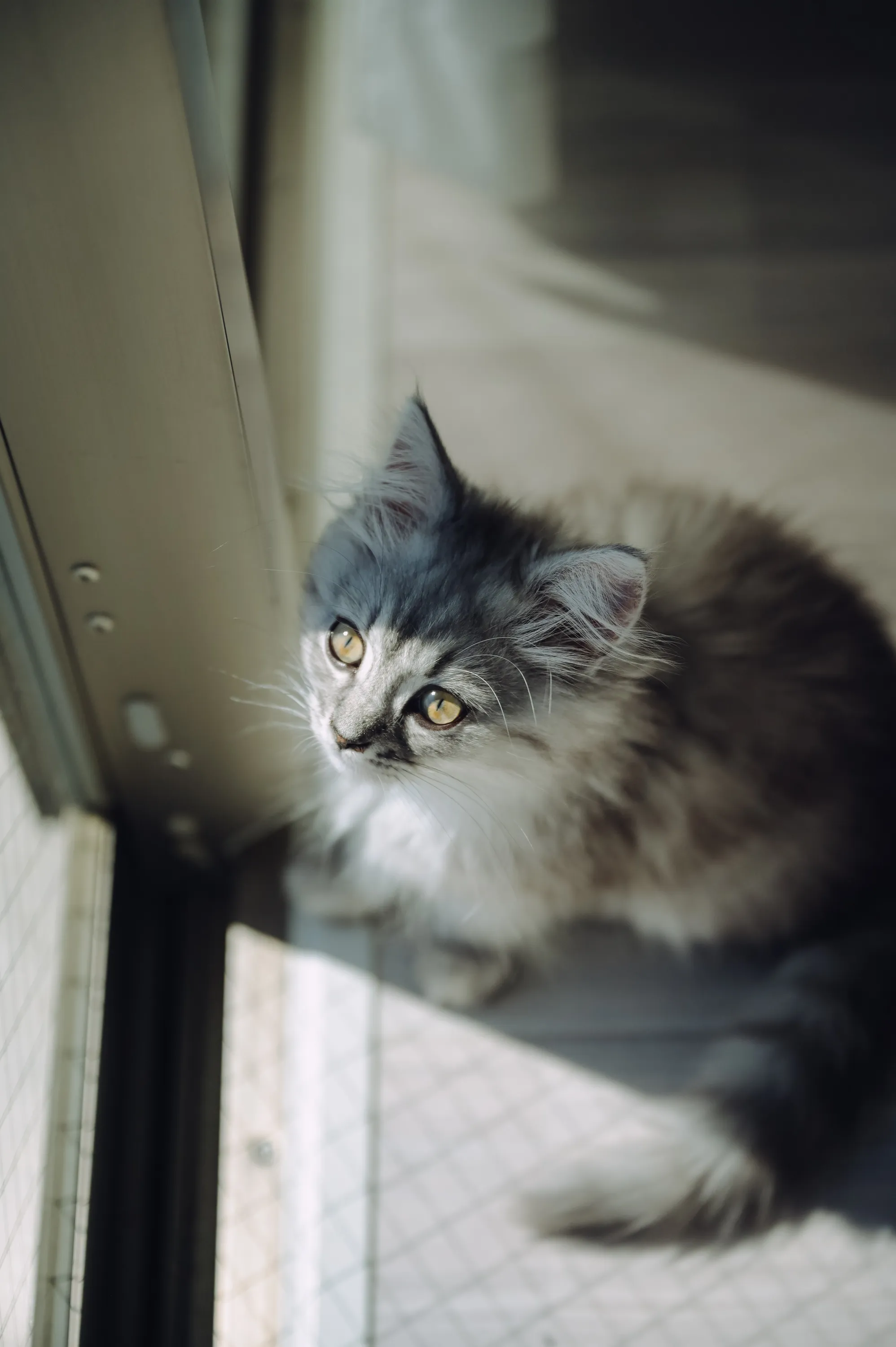 2021 — 03 — 15に撮影したうみとあおの写真