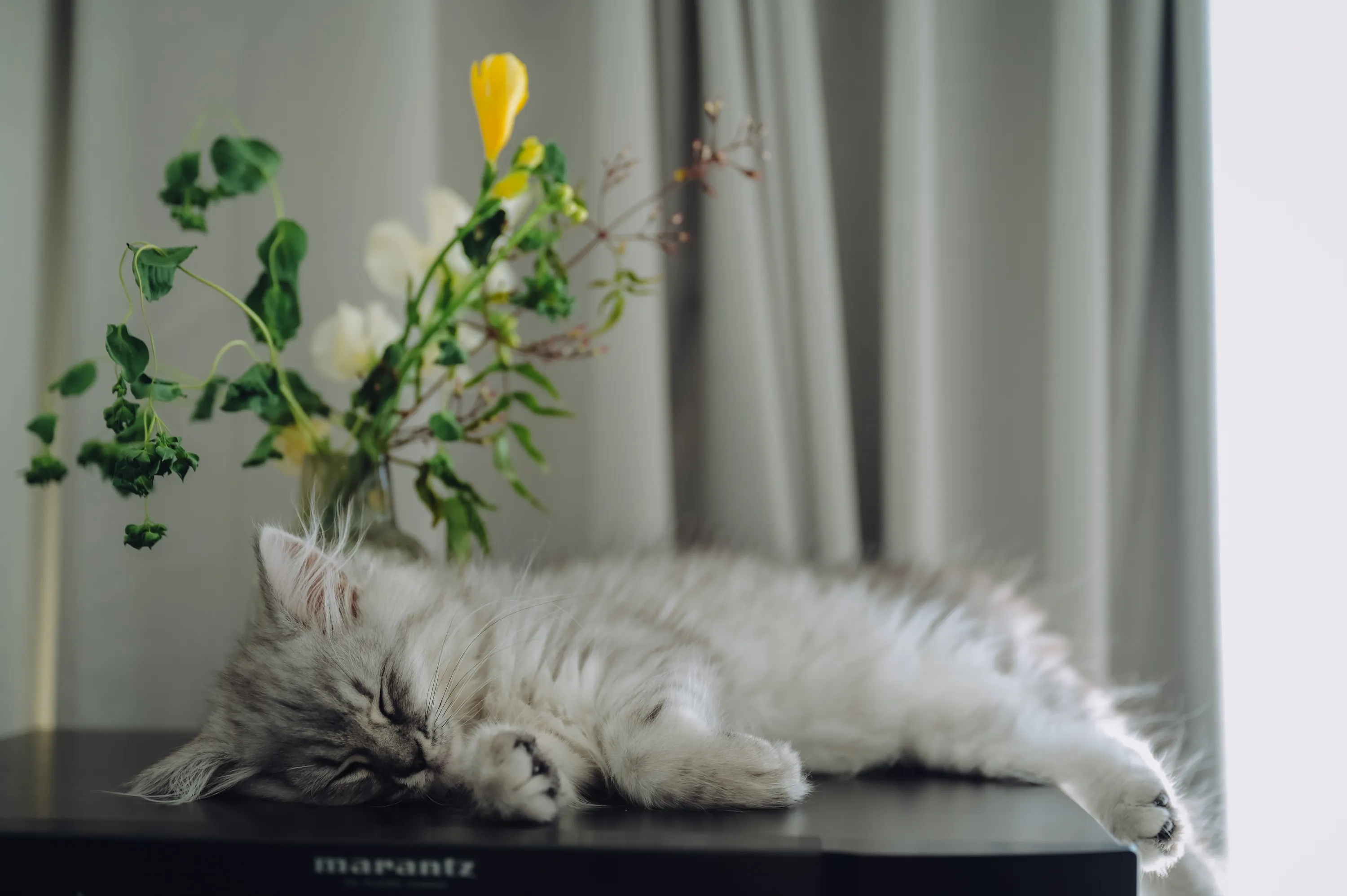 2021 — 03 — 24に撮影したうみの写真