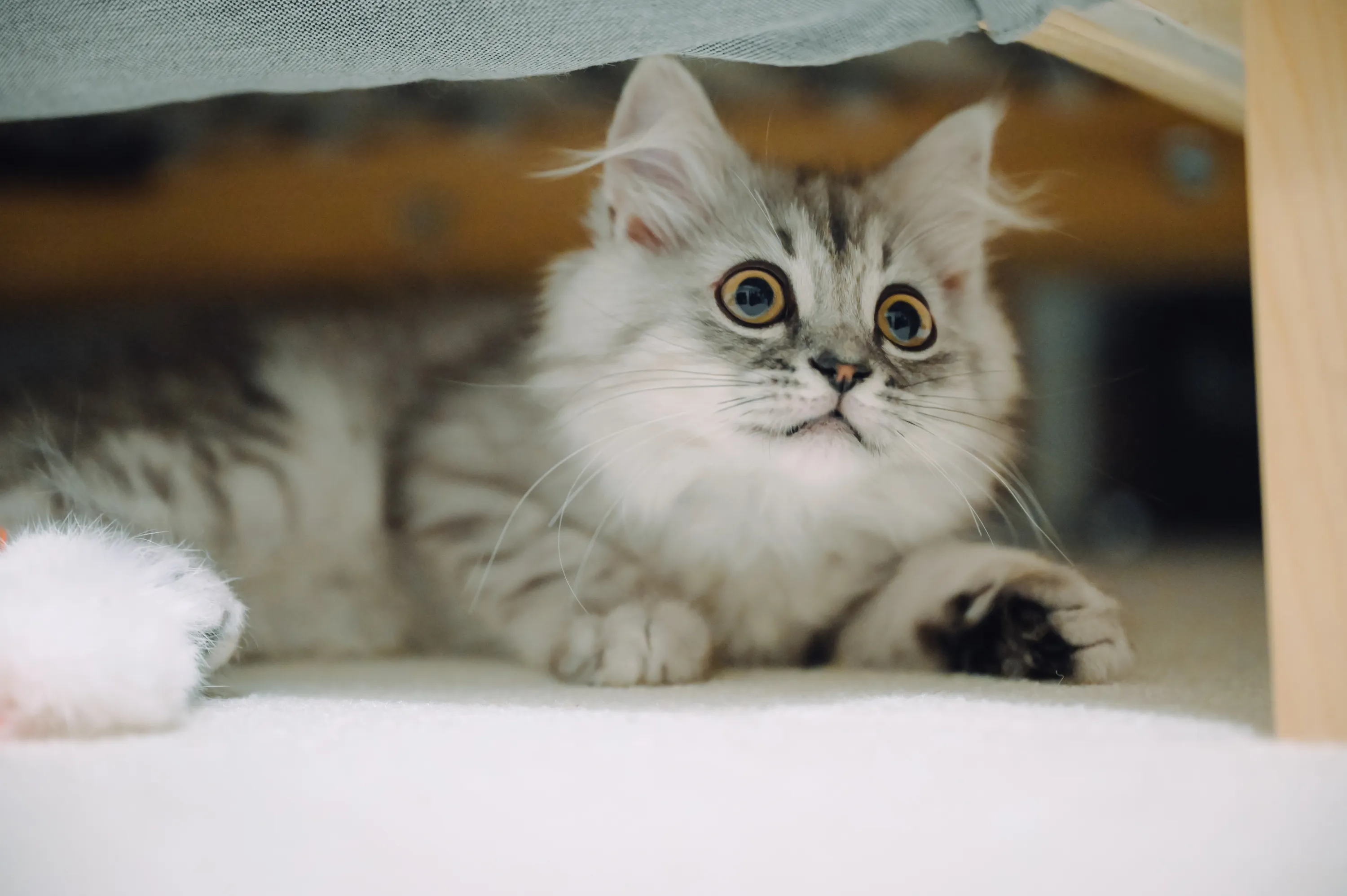 2021 — 03 — 24に撮影したうみの写真