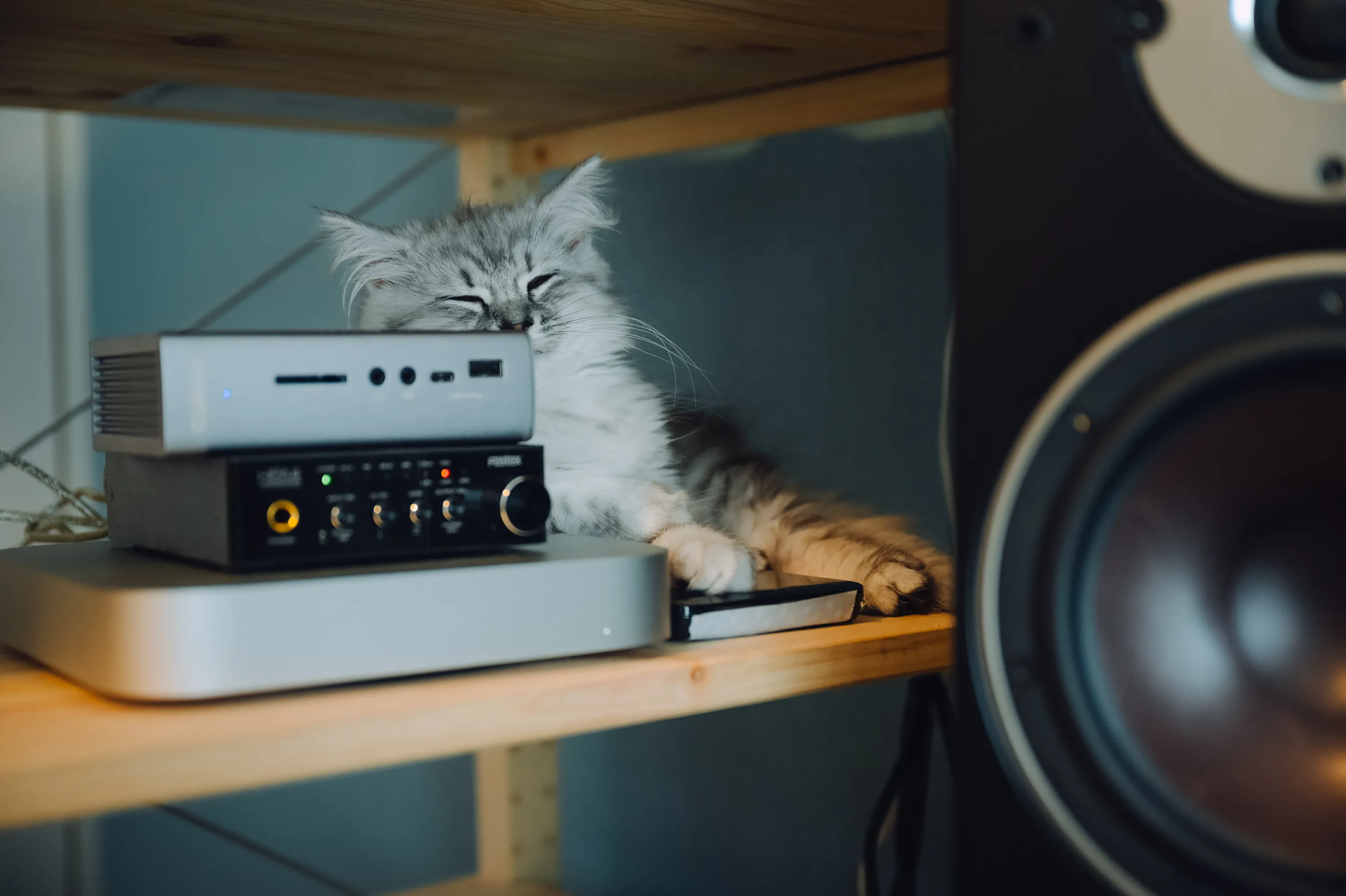 2021 — 03 — 26に撮影したうみの写真