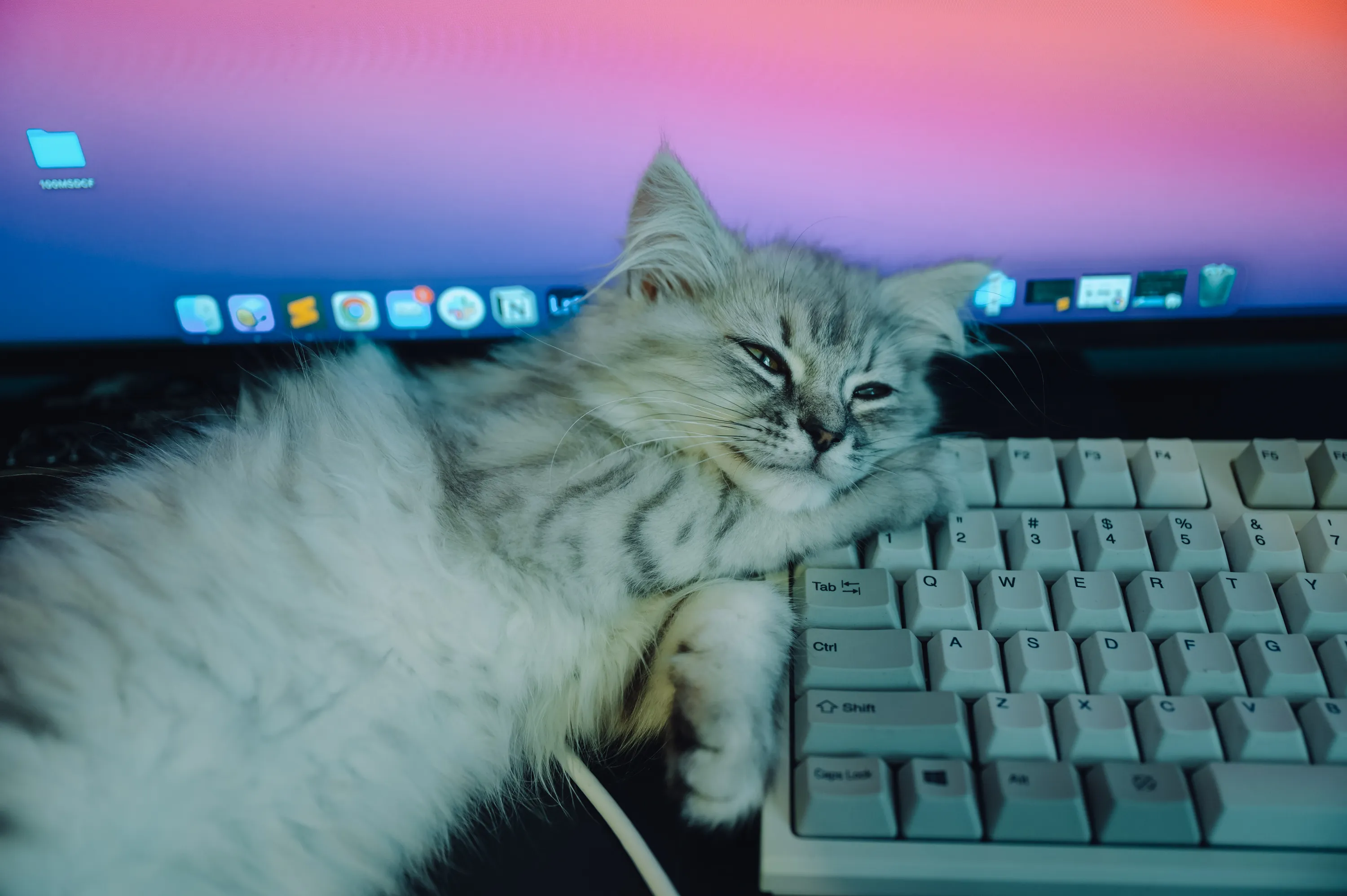 2021 — 03 — 28に撮影したうみの写真