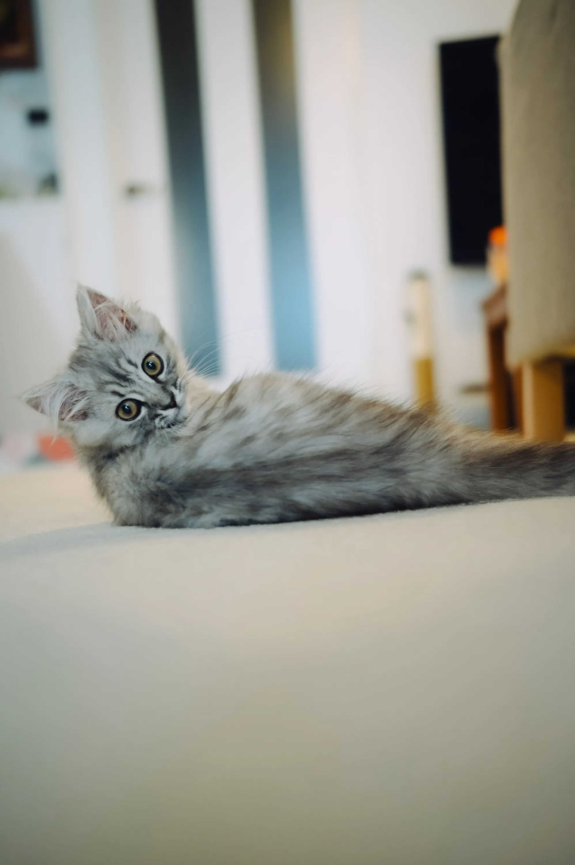 2021 — 04 — 02に撮影したうみの写真