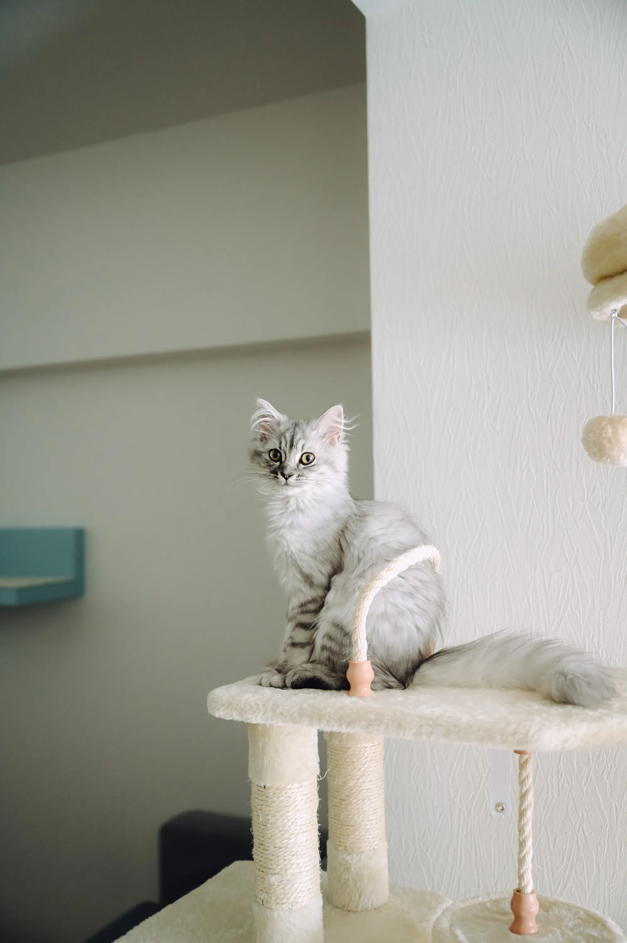2021 — 04 — 29に撮影したうみの写真