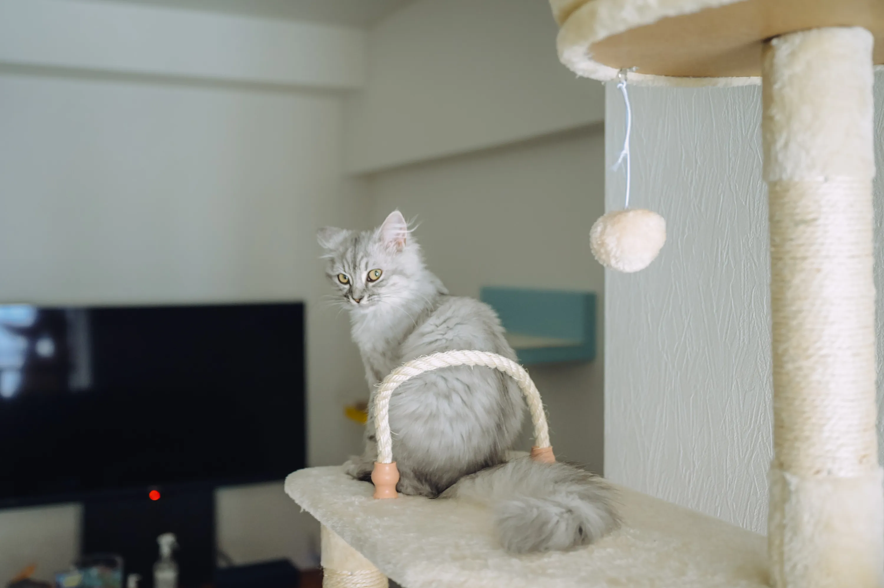 2021 — 04 — 29に撮影したうみの写真