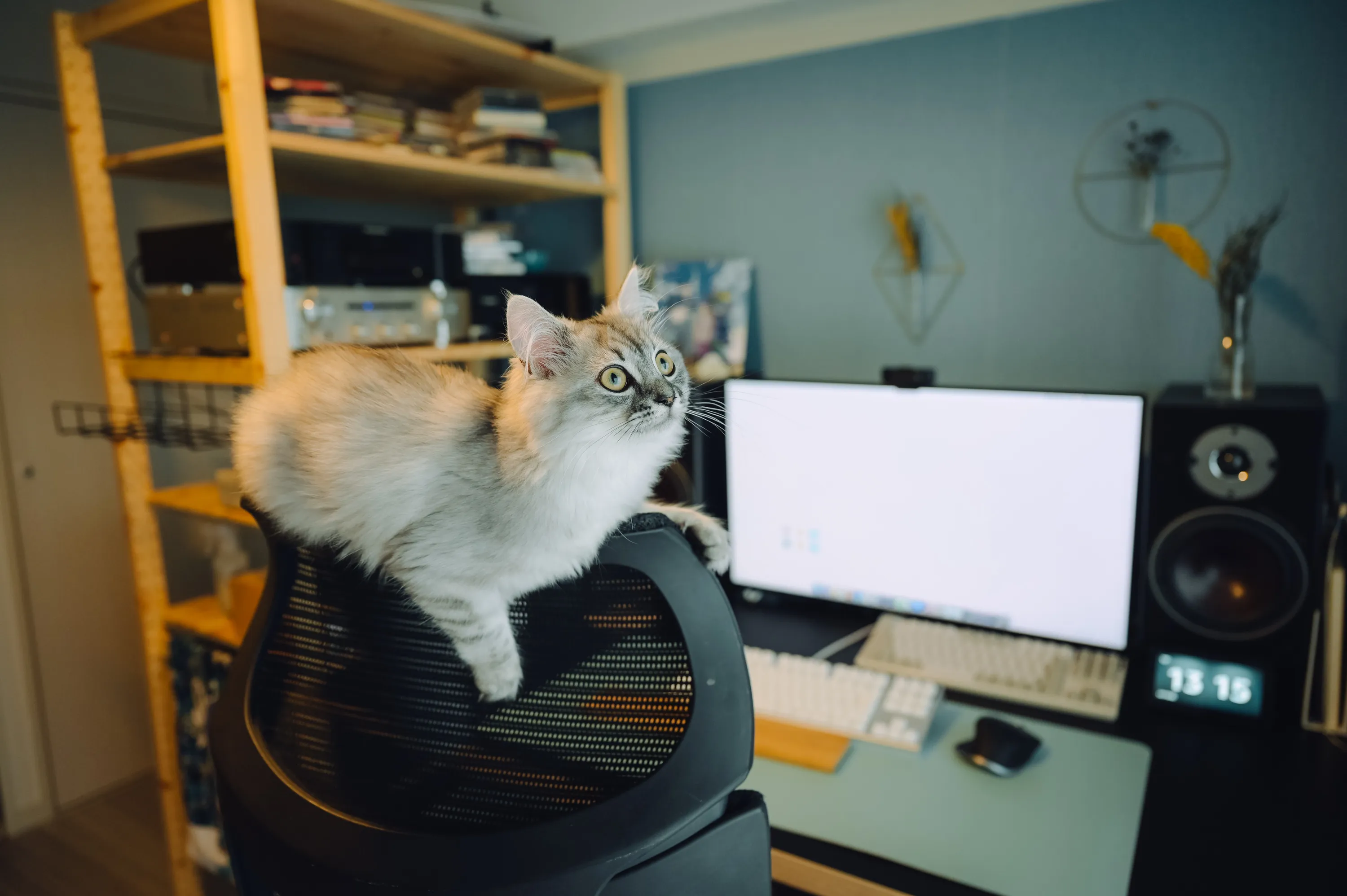 2021 — 05 — 07に撮影したうみの写真