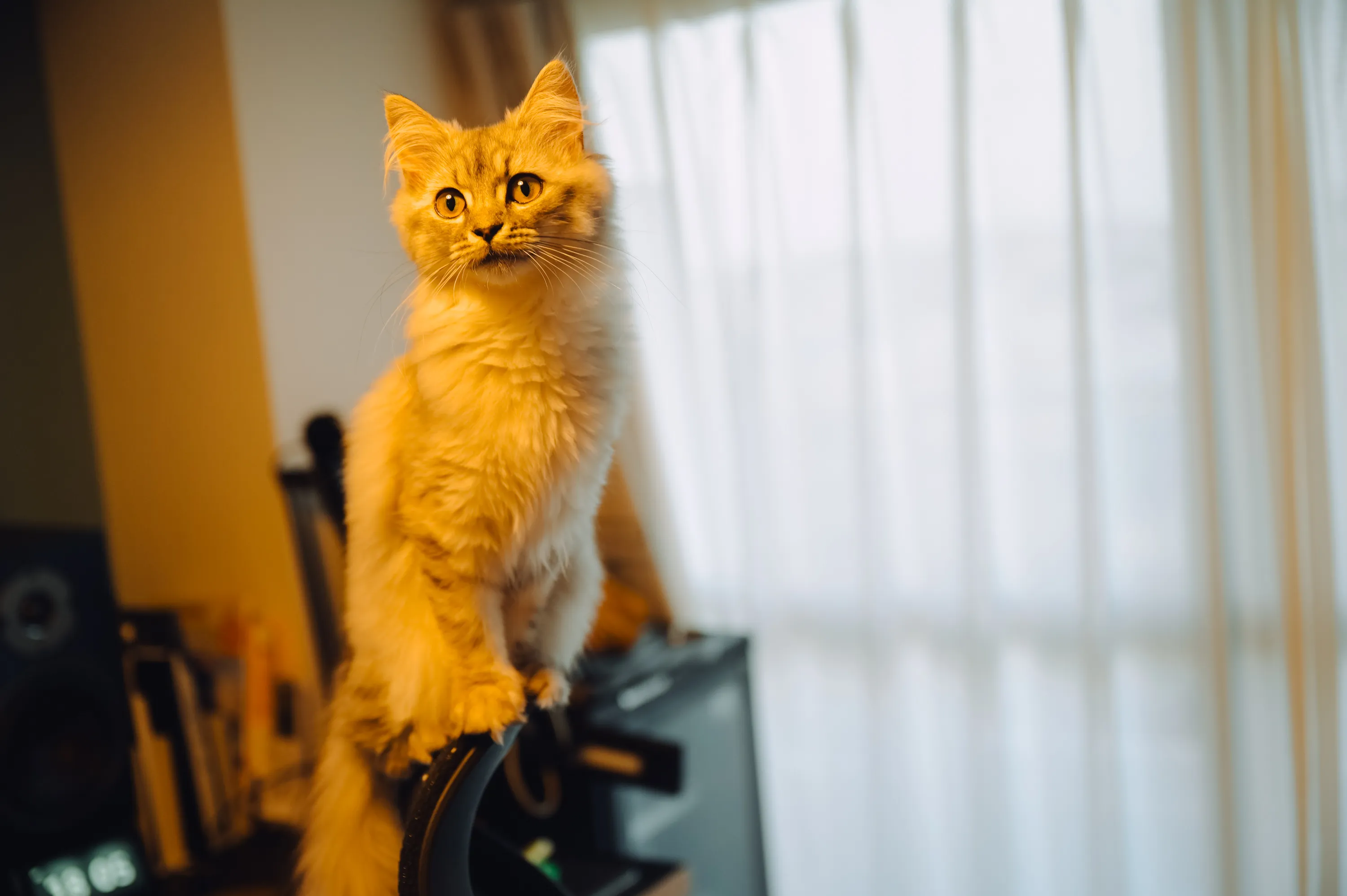 2021 — 05 — 10に撮影したあおの写真
