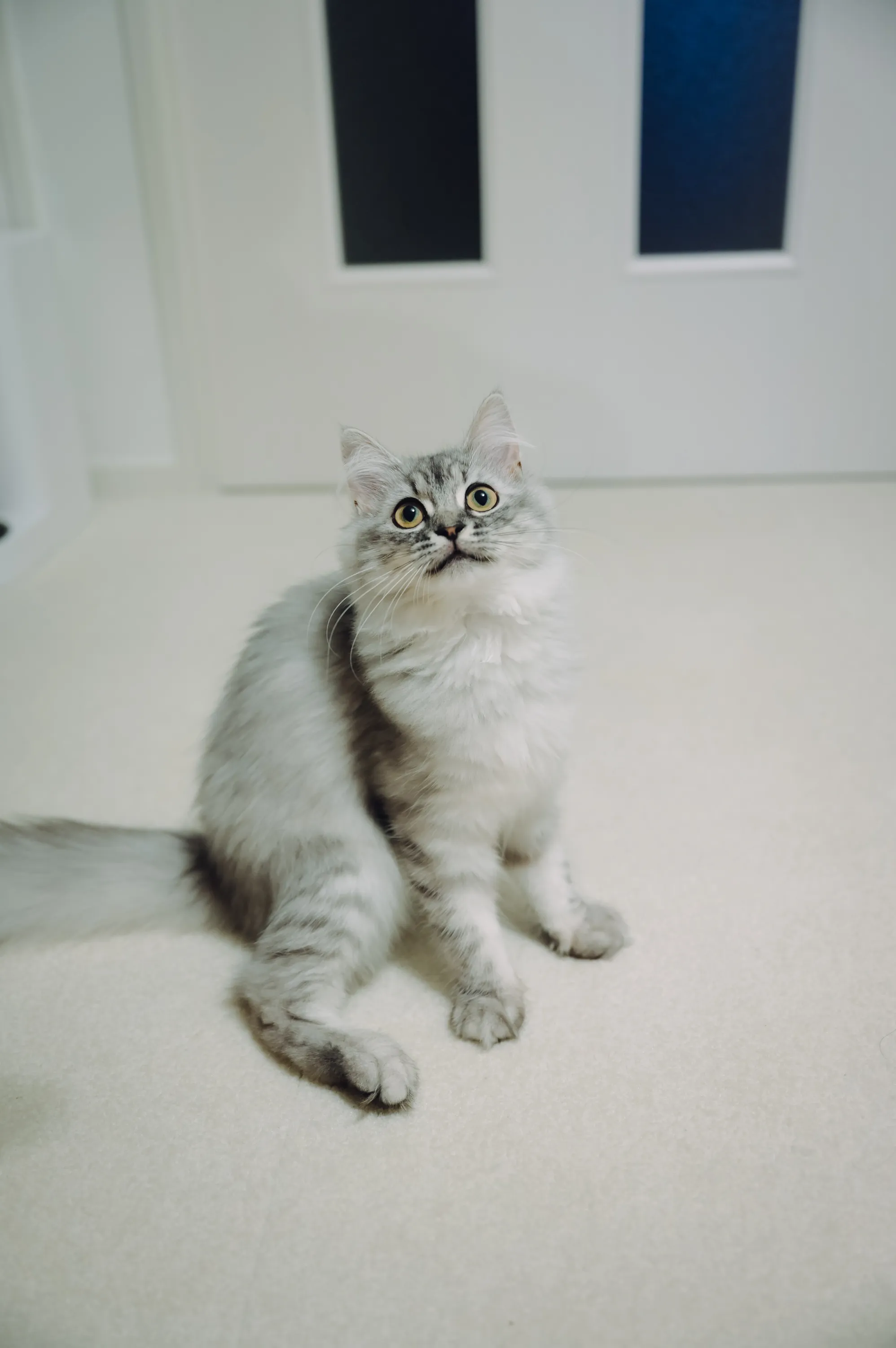 2021 — 05 — 20に撮影したうみの写真